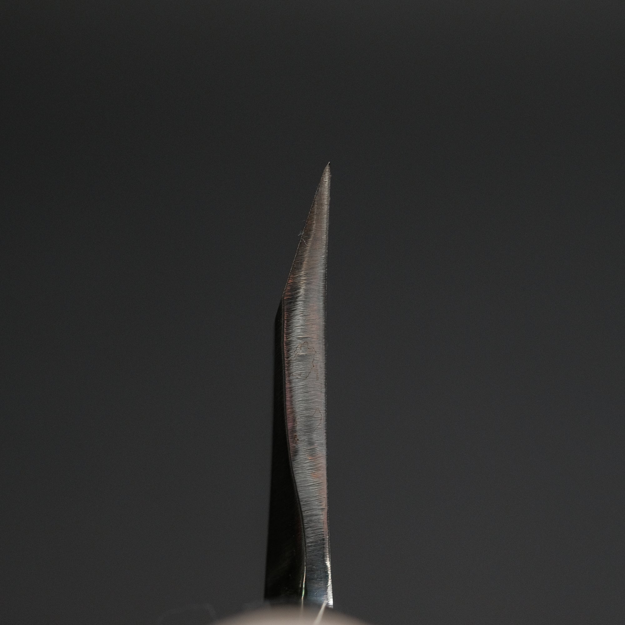 Sakai Kikumori Shironiko White 