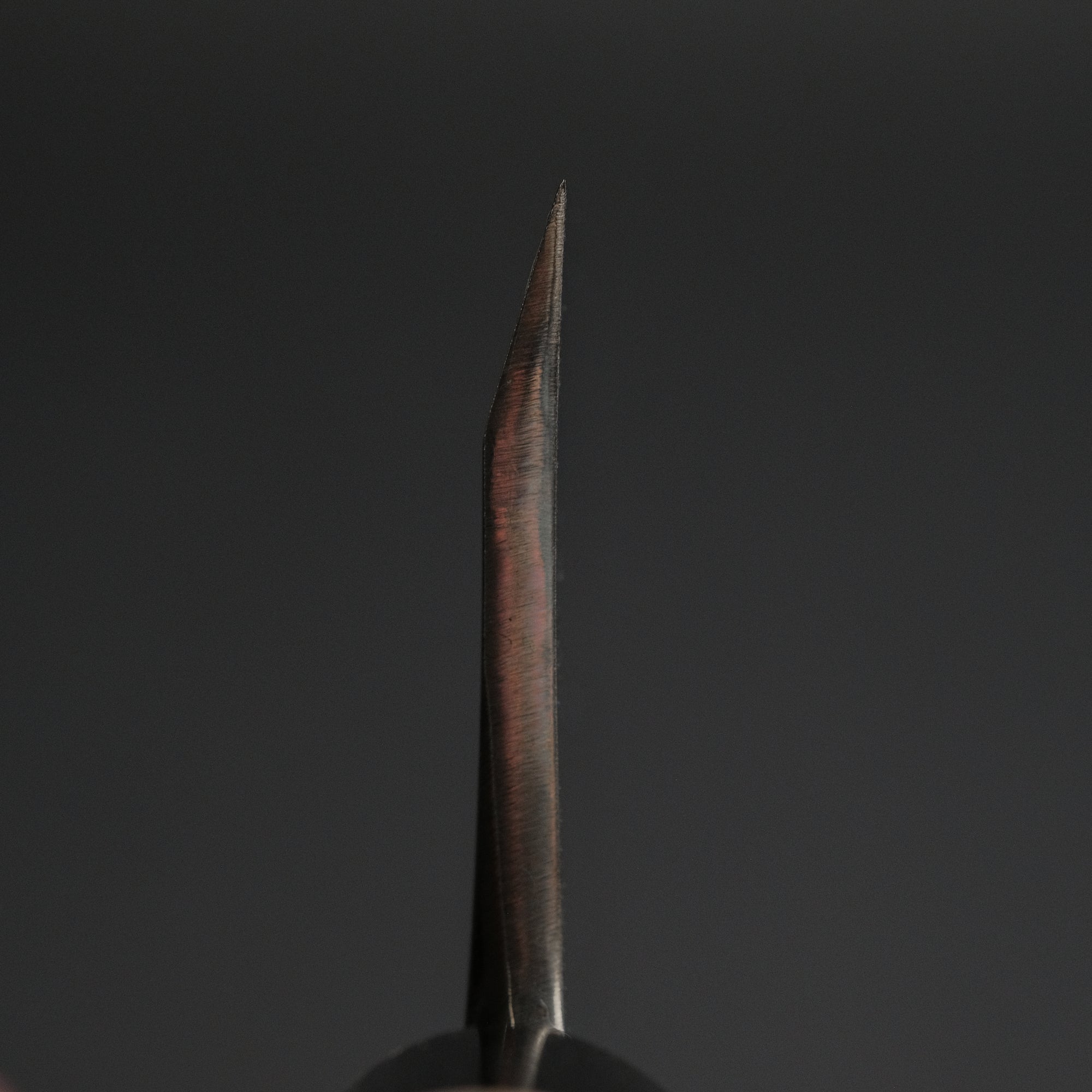 Sakai Kikumori Shironiko White 