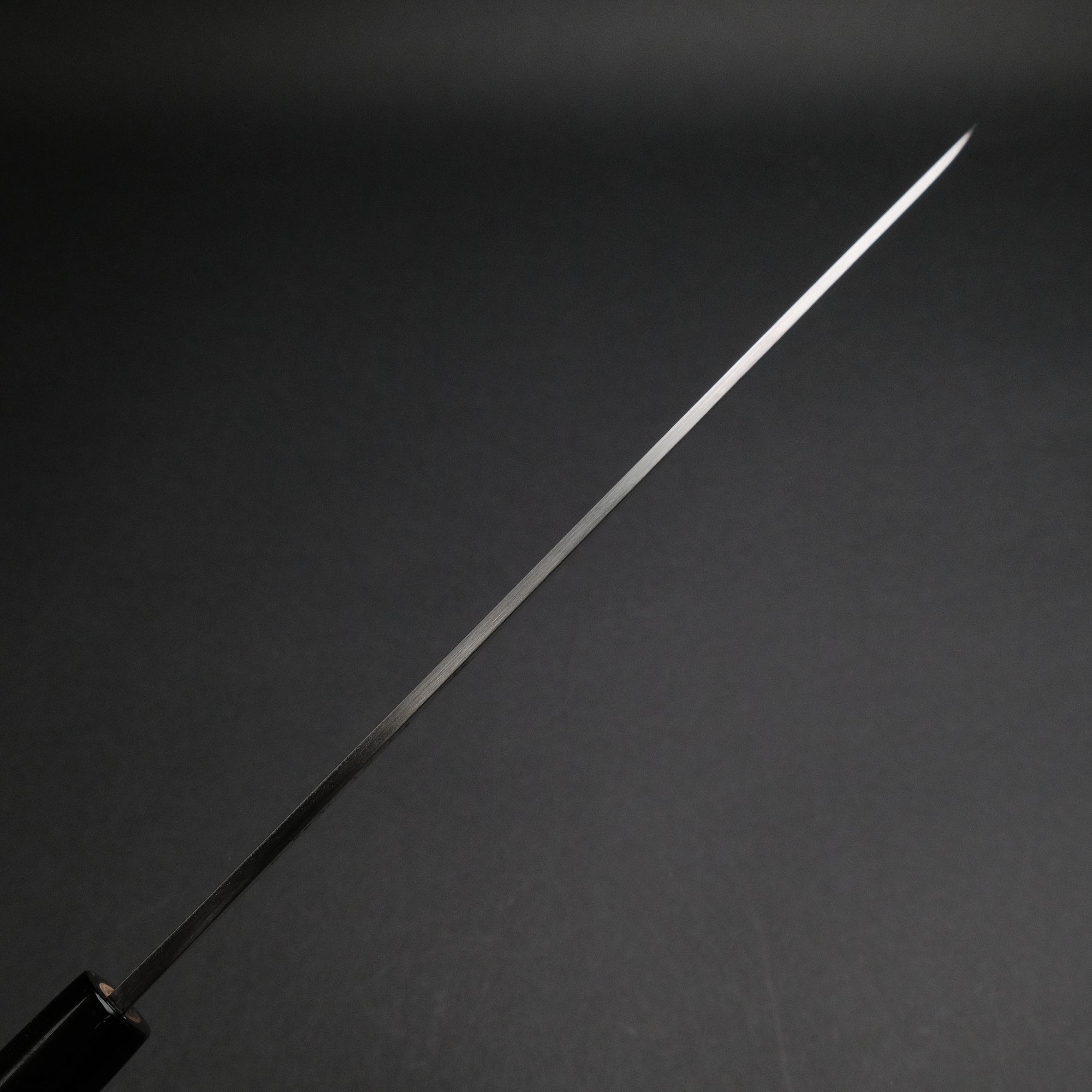 Sakai Kikumori Shironiko White 