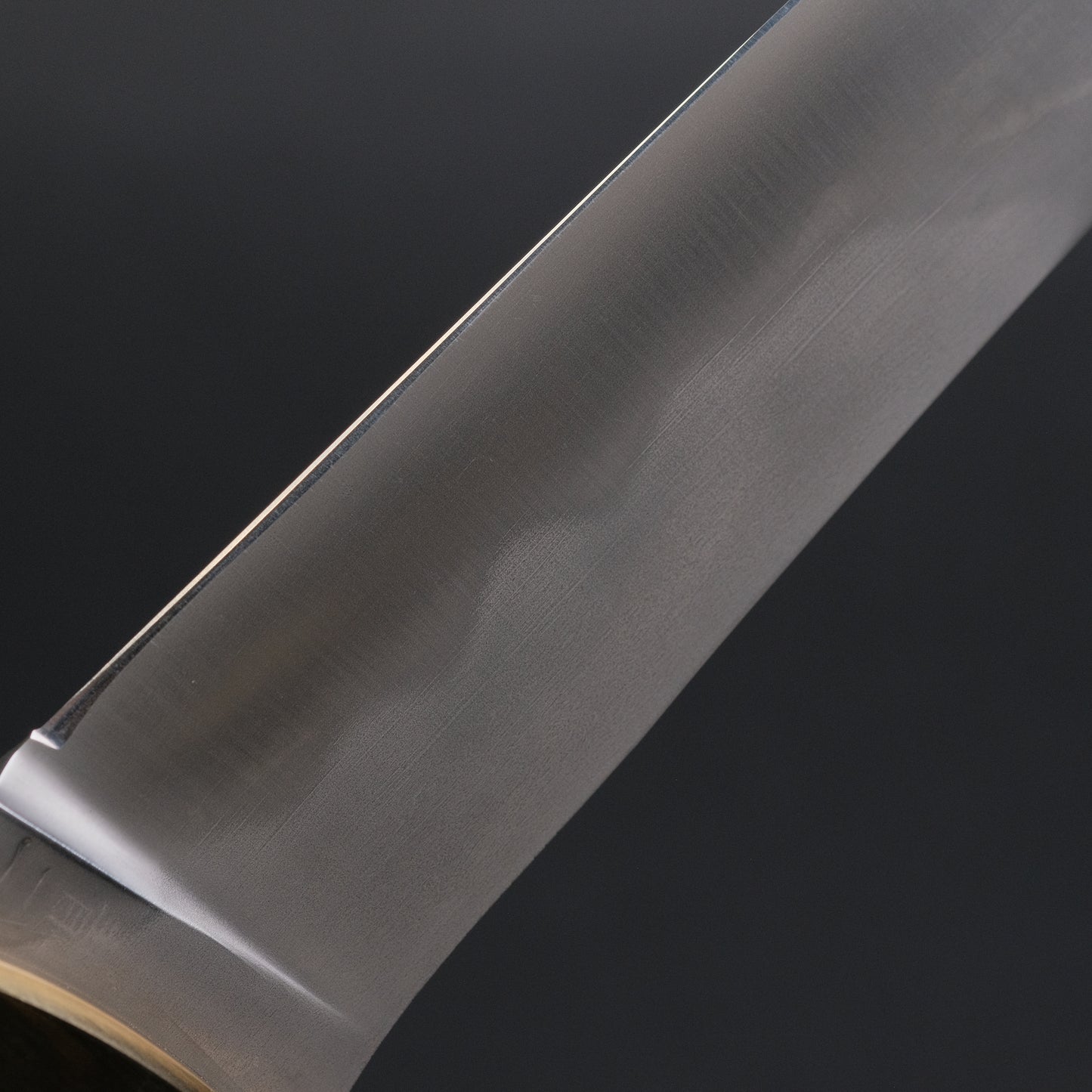 Seino Nagisa Blue #2 Honyaki Fixed Blade Stabilized Wood Handle (#005)