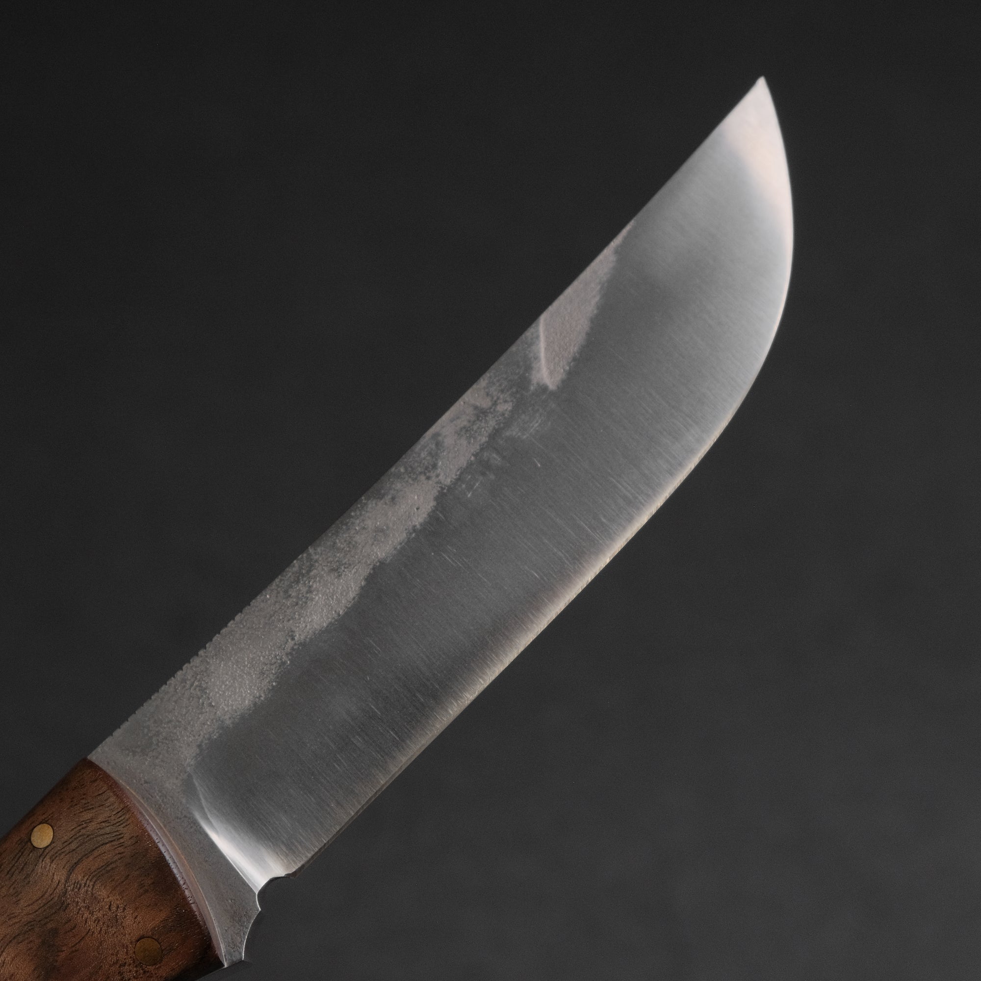 Seino Shikari ATS-34 Fixed Blade Claro Walnut Handle (