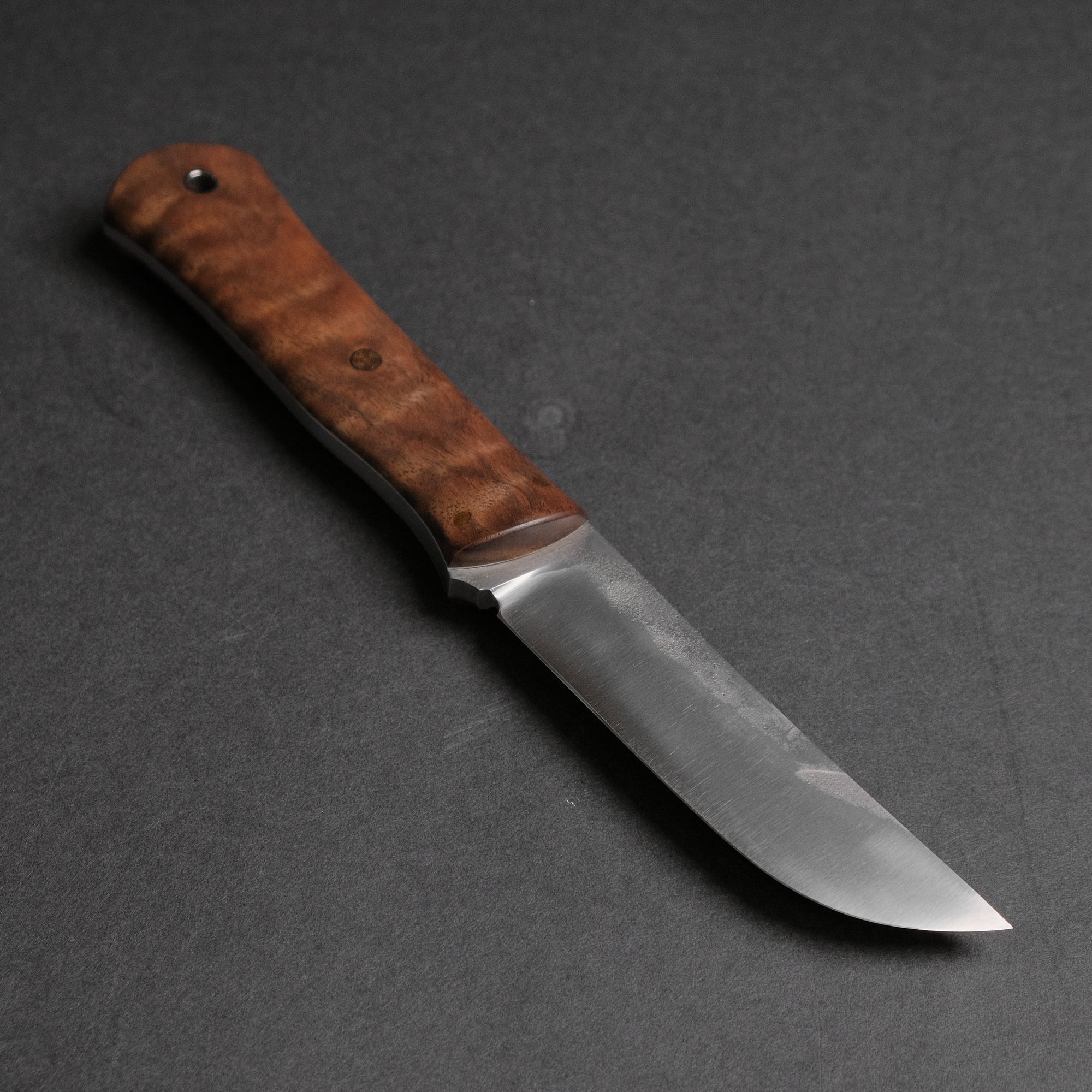 Seino Shikari ATS-34 Fixed Blade Claro Walnut Handle (