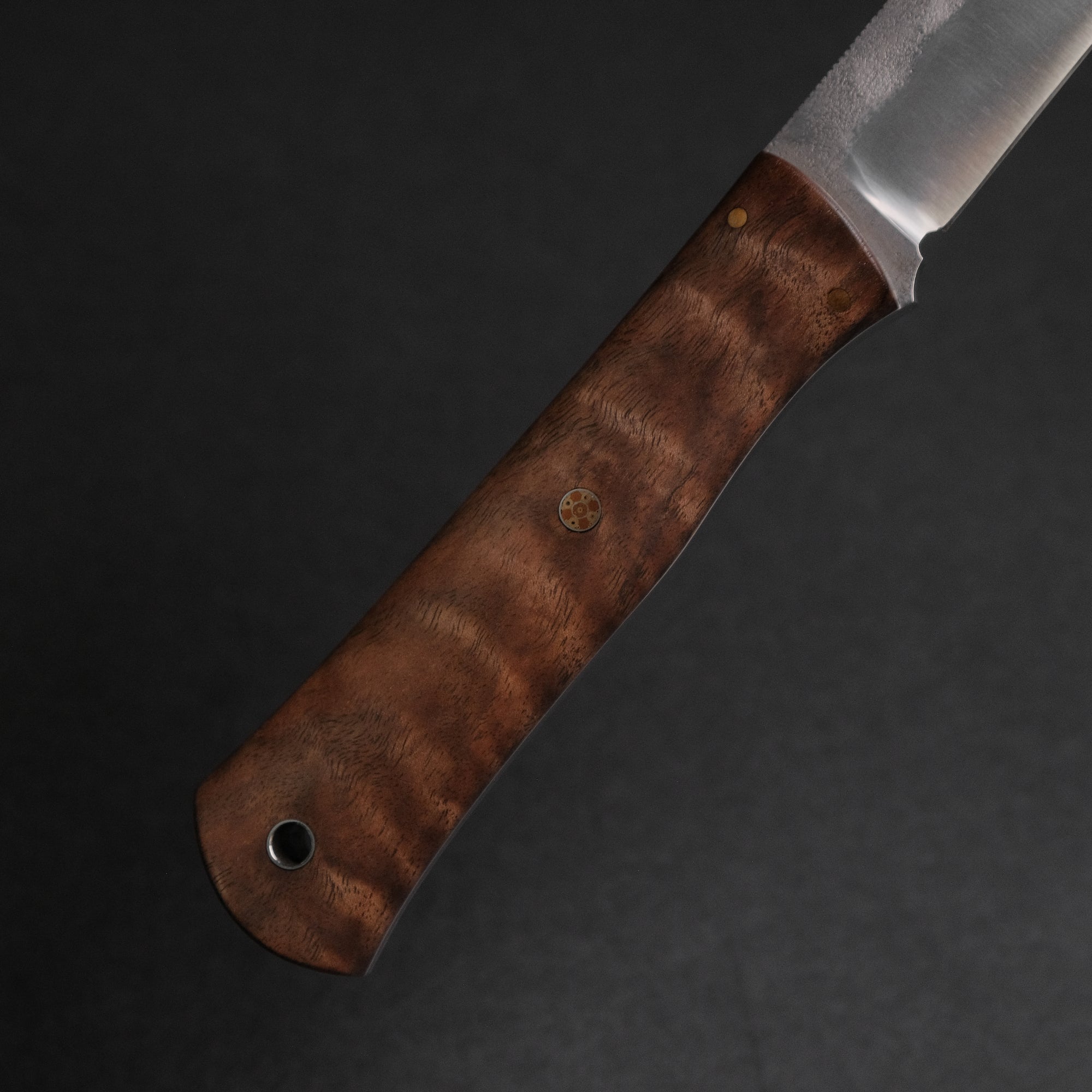 Seino Shikari ATS-34 Fixed Blade Claro Walnut Handle (