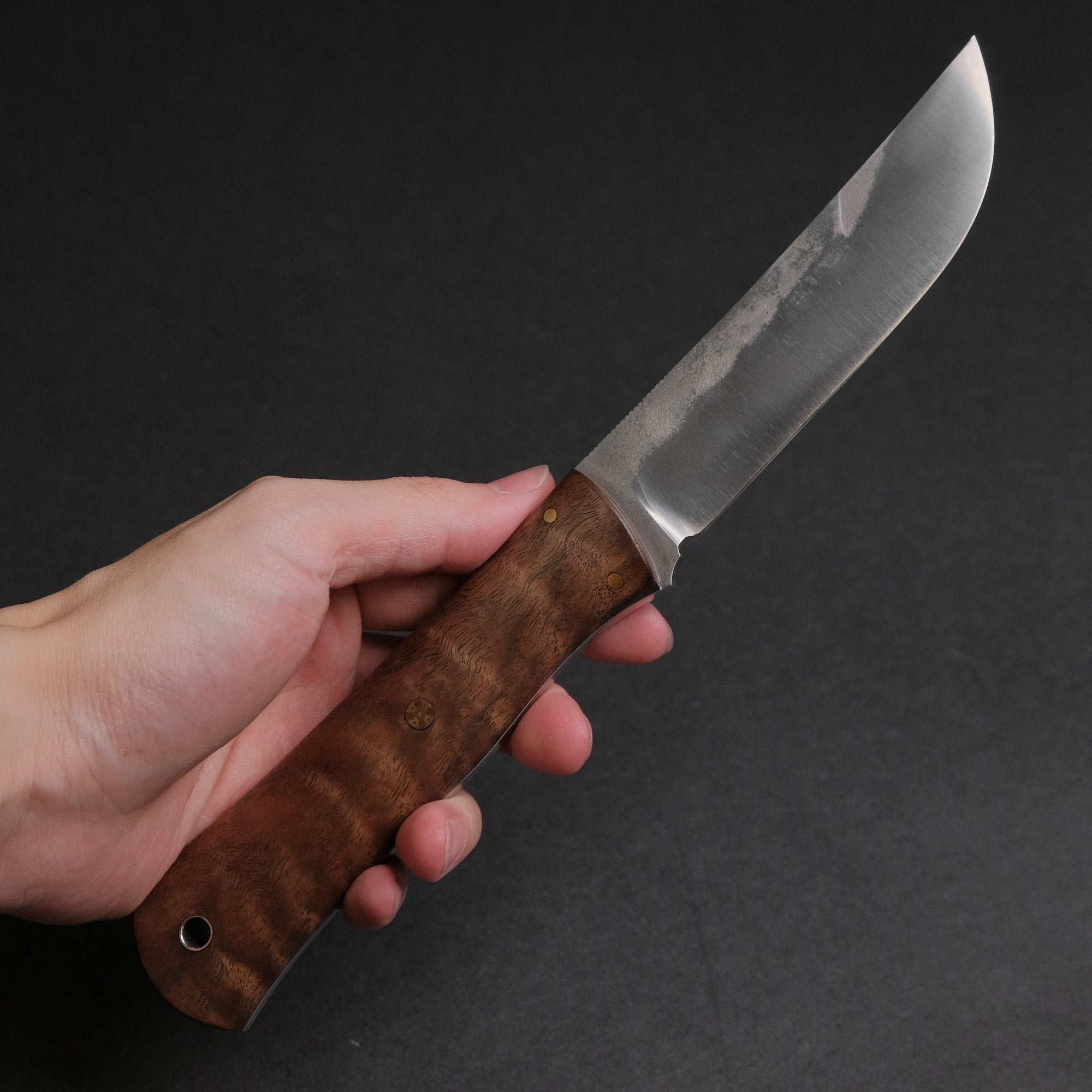 Seino Shikari ATS-34 Fixed Blade Claro Walnut Handle (
