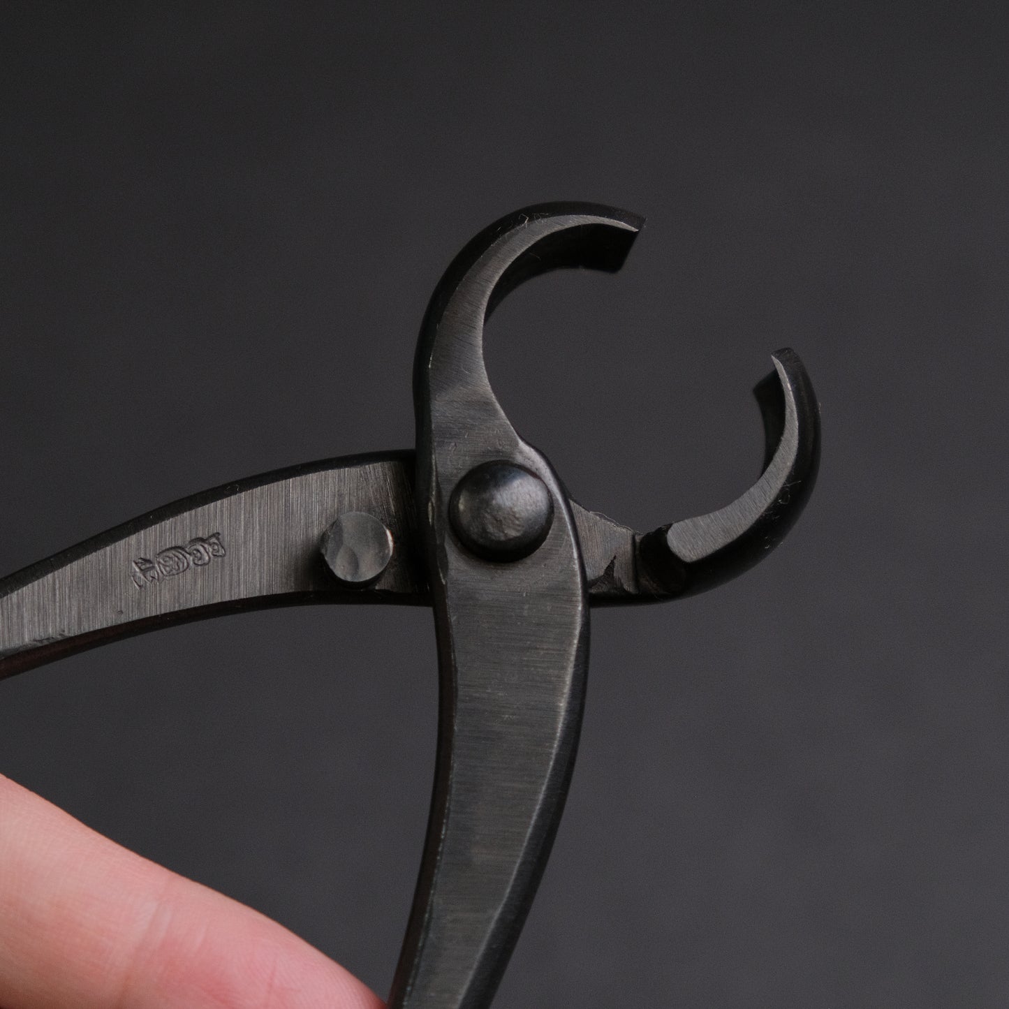 Masakuni Bonsai Tools
