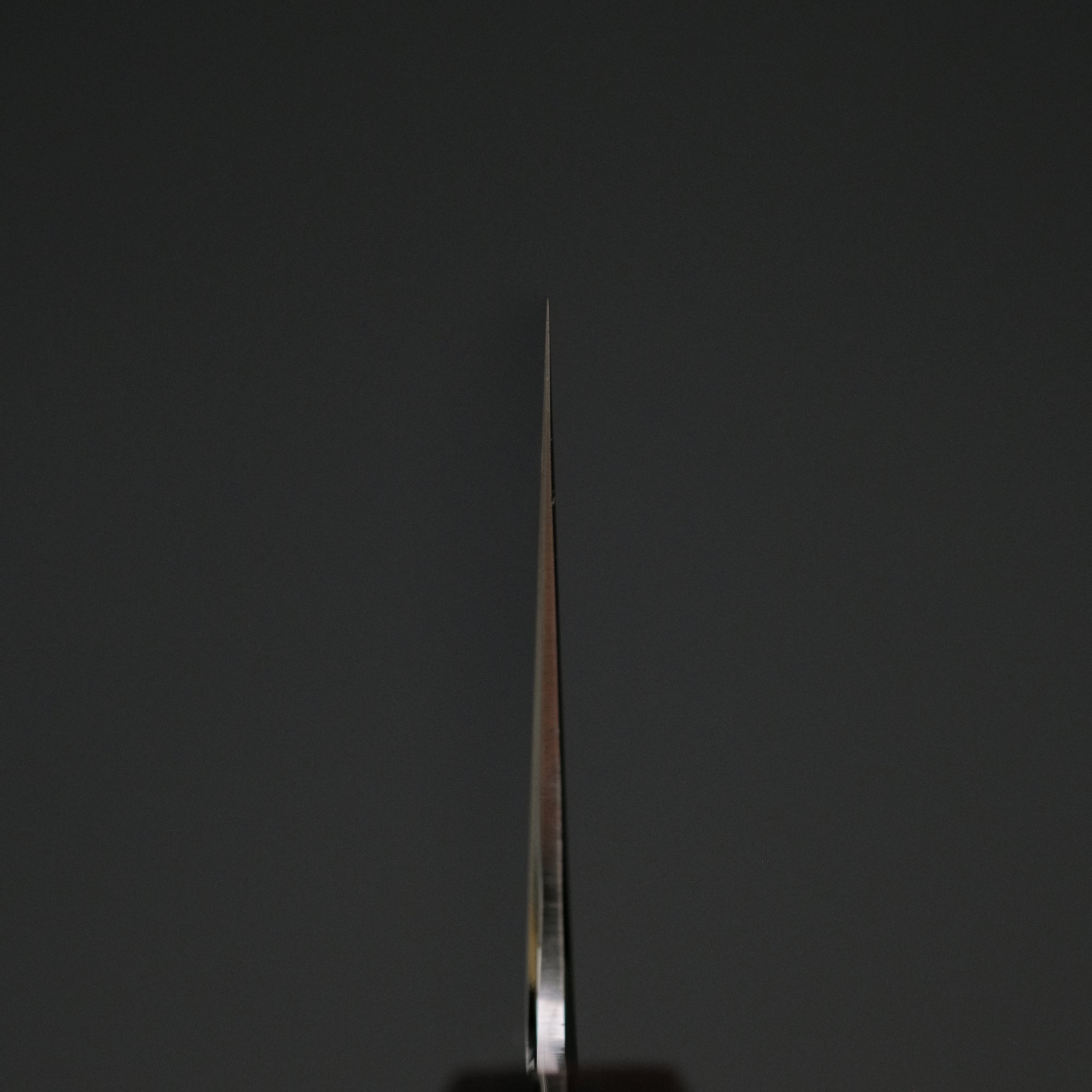 Hitohira Nakagawa Izo Silver 