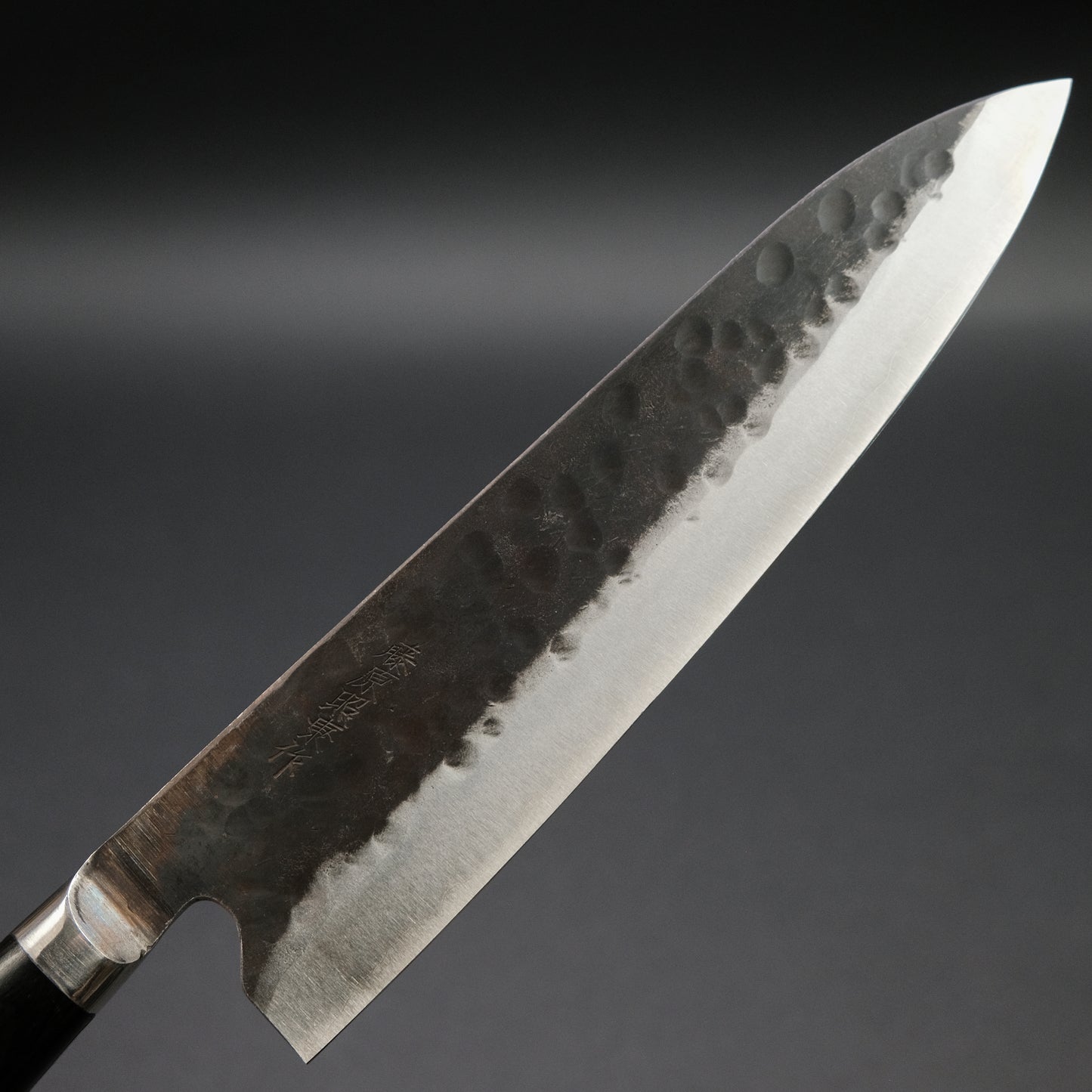 Teruyasu Fujiwara Denka Gyuto 210mm Pakka Wood Handle