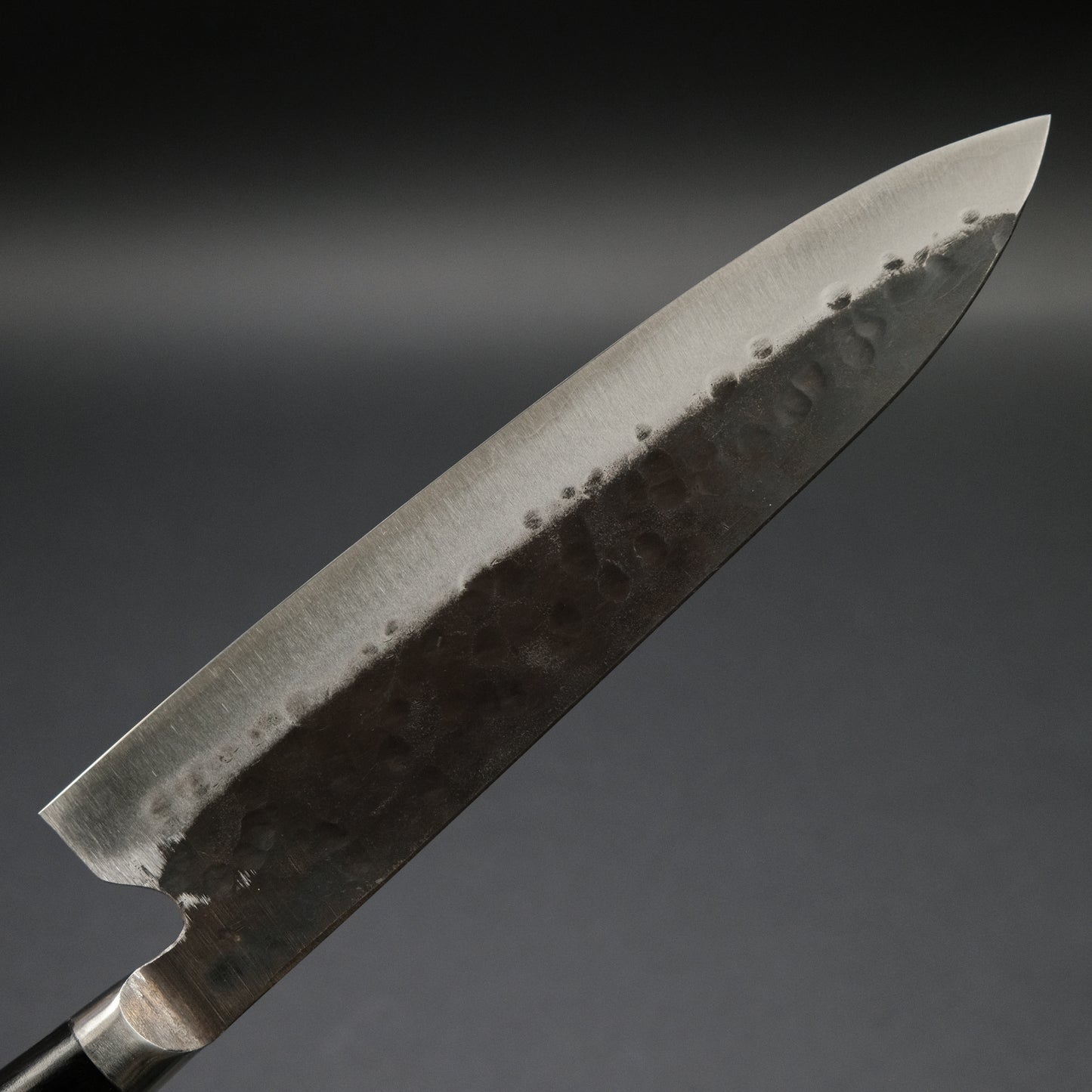 Teruyasu Fujiwara Denka Gyuto 210mm Pakka Wood Handle