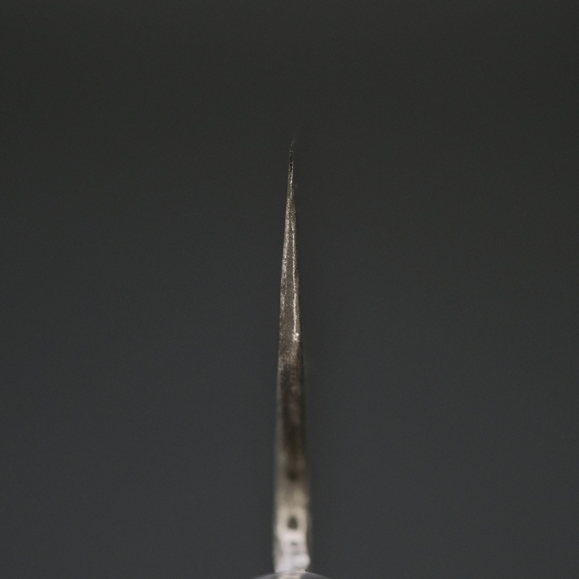 Teruyasu Fujiwara Denka Gyuto 210mm Pakka Wood Handle