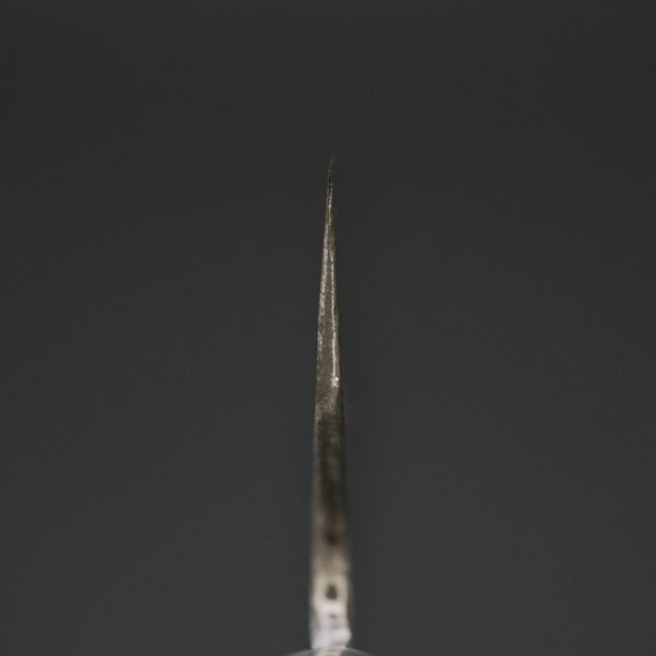 Teruyasu Fujiwara Denka Gyuto 210mm Pakka Wood Handle