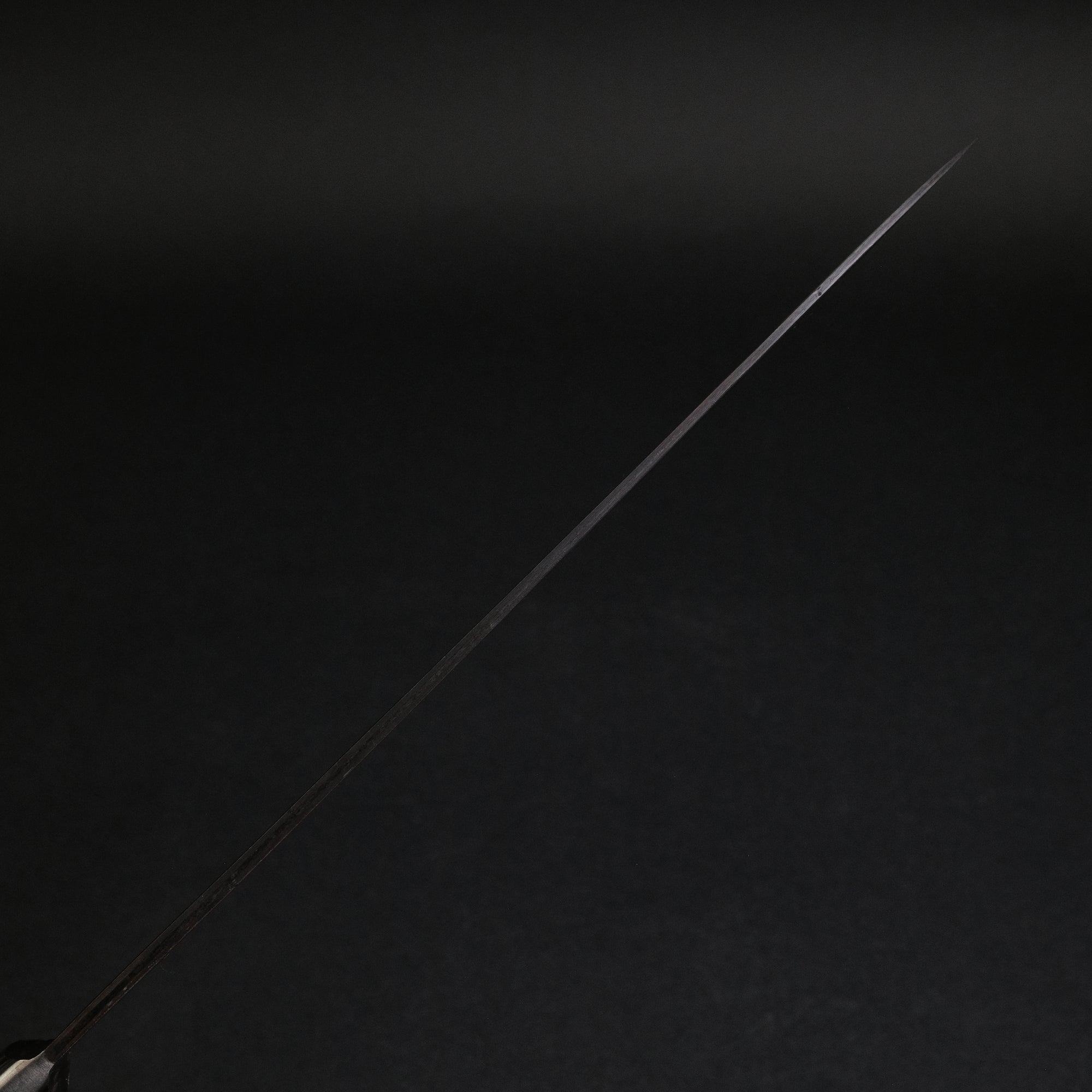 Teruyasu Fujiwara Denka Gyuto 240mm Pakka Wood Handle