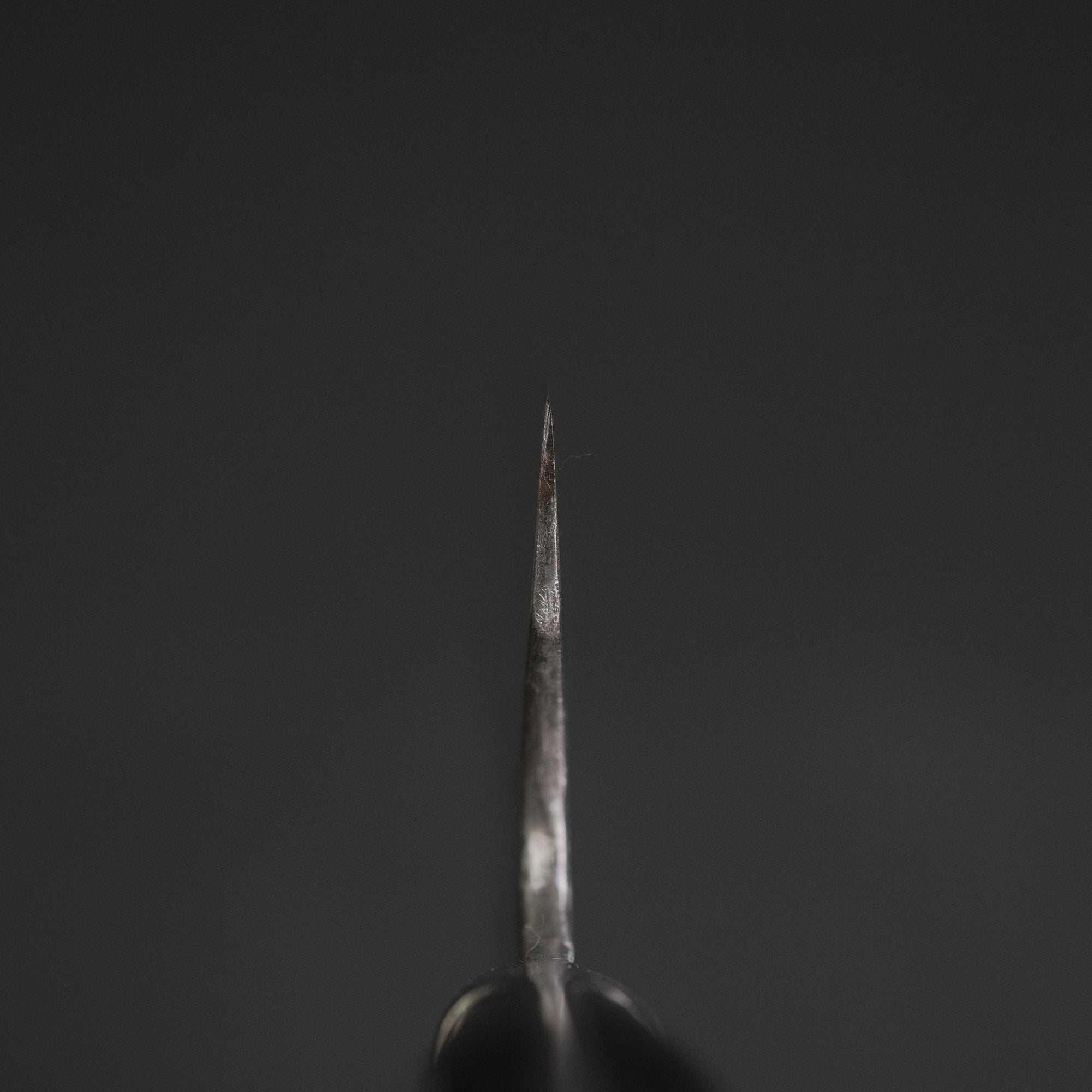 Teruyasu Fujiwara Denka Gyuto 240mm Pakka Wood Handle