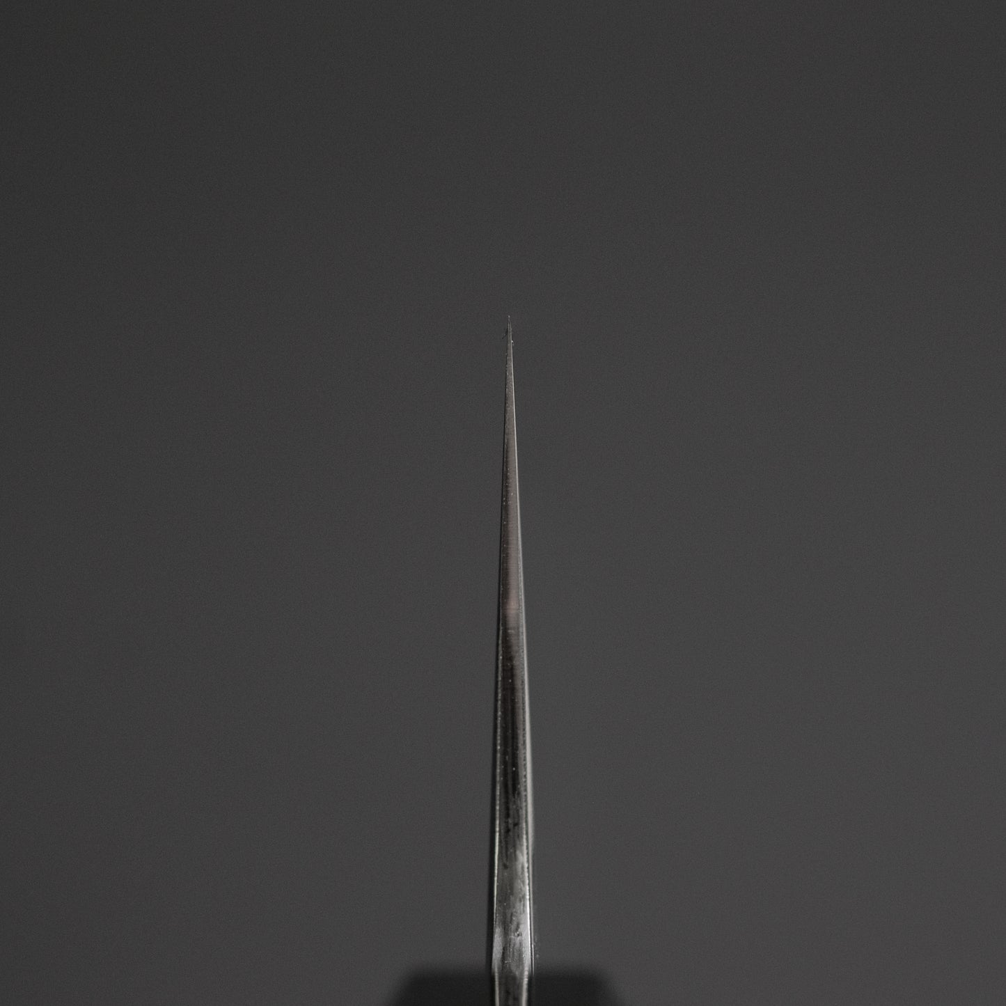 Tetsujin Blue #2 Kasumi Gyuto 240mm Taihei Rosewood Handle