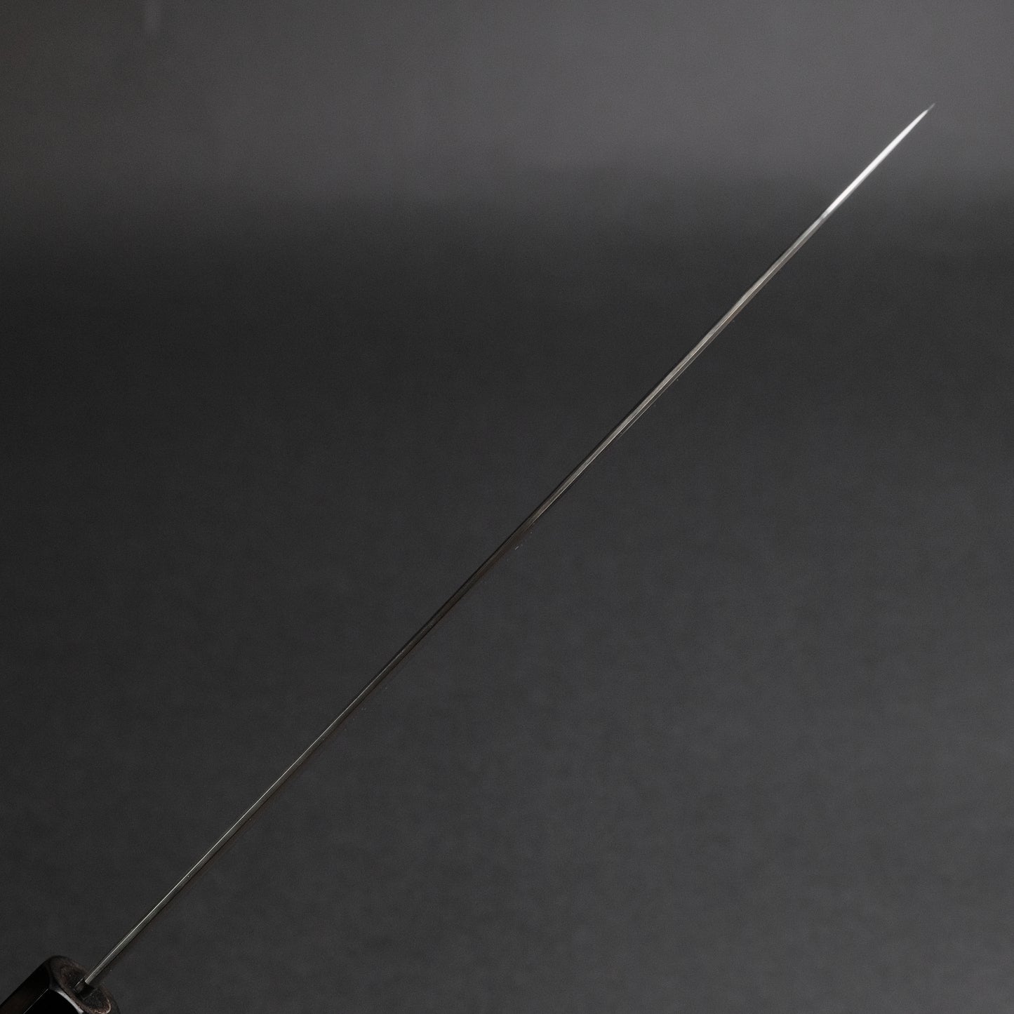 Tetsujin Blue #2 Kasumi Gyuto 240mm Taihei Rosewood Handle