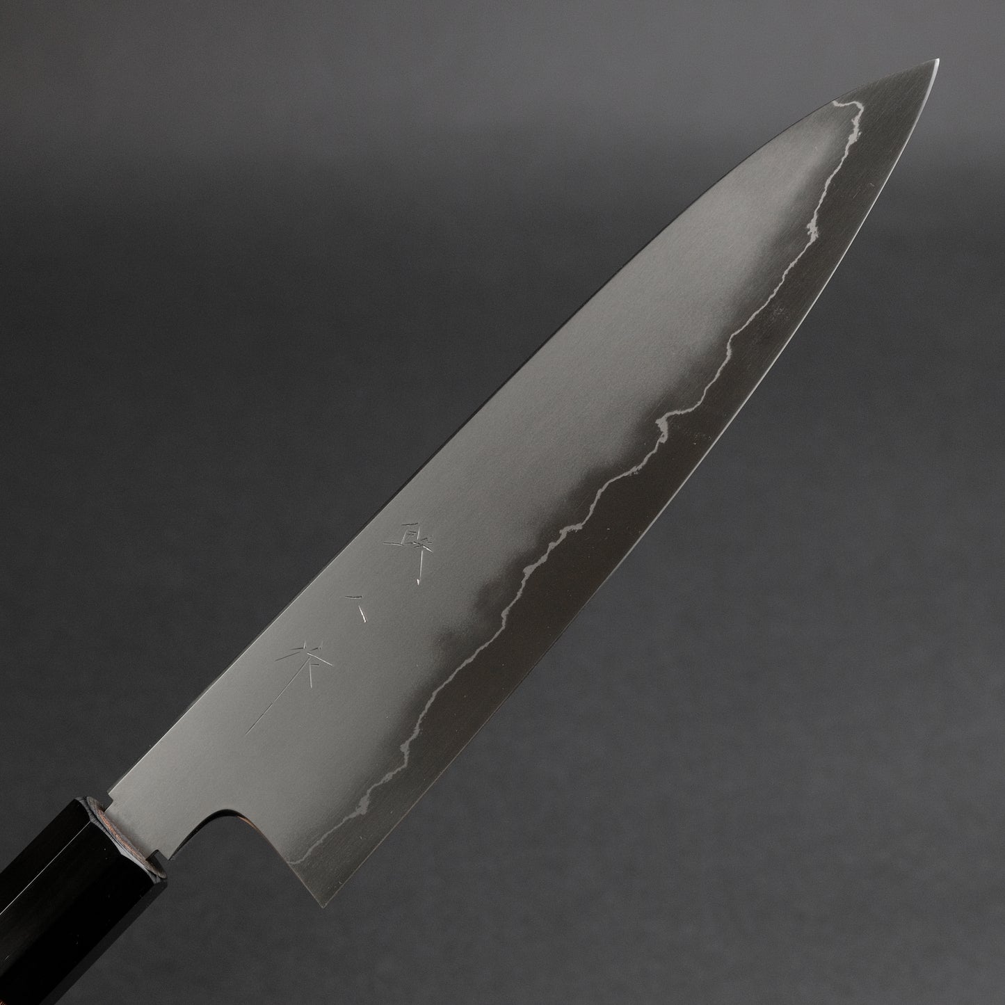 Tetsujin Silver #3 Kasumi Gyuto 210mm Lacewood Handle