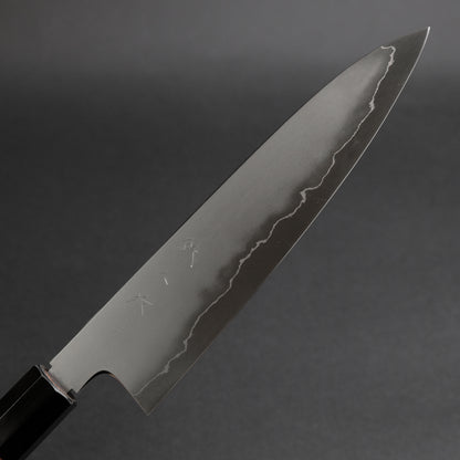 Tetsujin Silver #3 Kasumi Gyuto 210mm Lacewood Handle