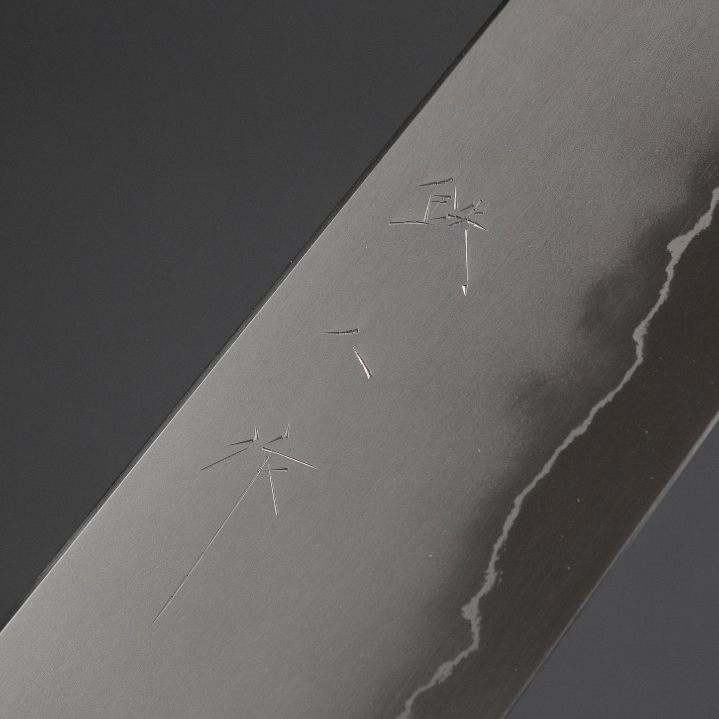 Tetsujin Silver #3 Kasumi Gyuto 210mm Lacewood Handle