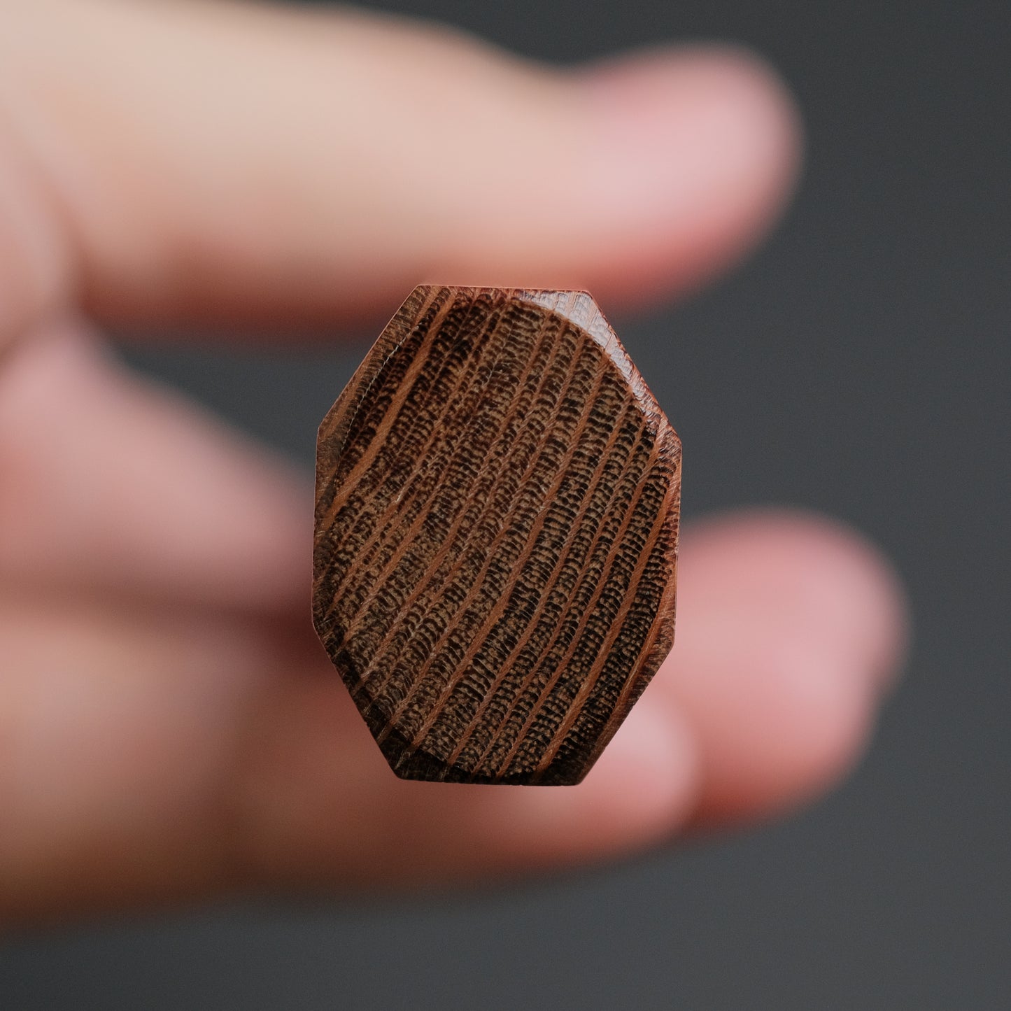 Tetsujin Silver #3 Kasumi Gyuto 210mm Lacewood Handle