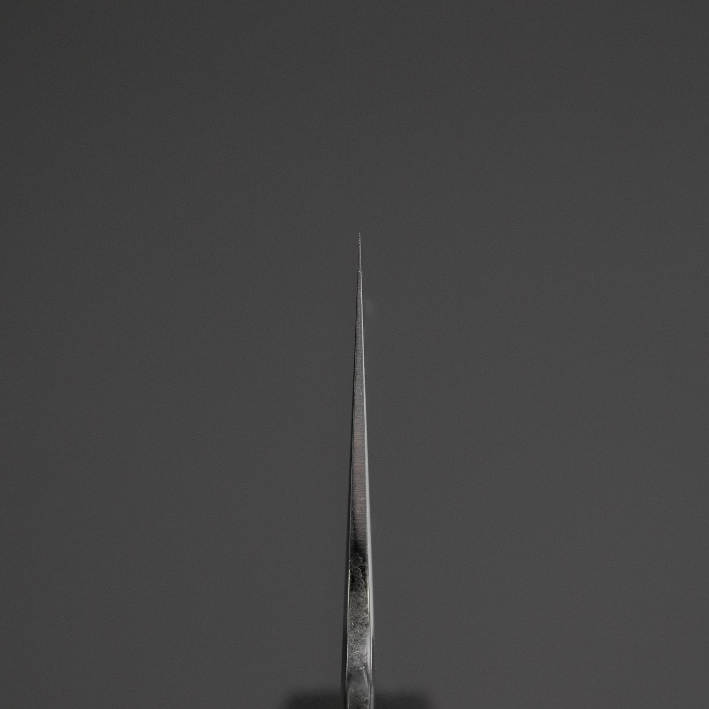 Tetsujin Silver #3 Kasumi Gyuto 210mm Lacewood Handle