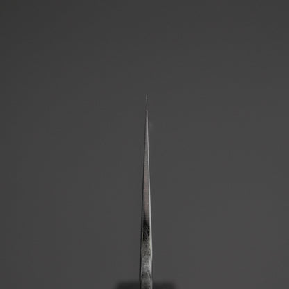 Tetsujin Silver #3 Kasumi Gyuto 210mm Lacewood Handle