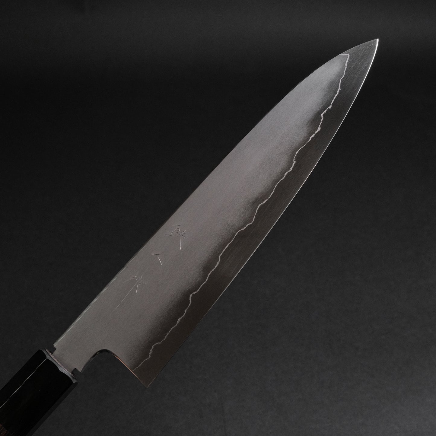 Tetsujin Silver #3 Kasumi Gyuto 210mm Taihei Makassar Ebony Handle