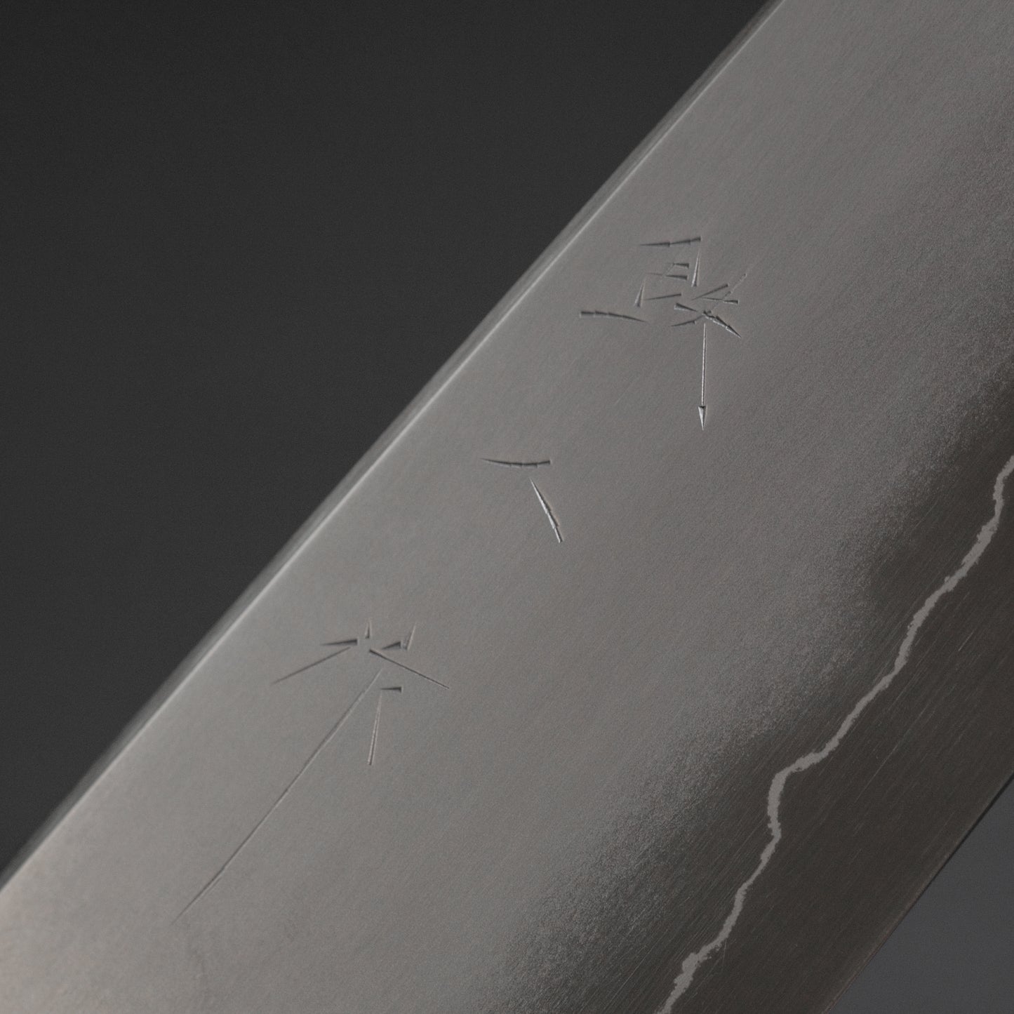 Tetsujin Silver #3 Kasumi Gyuto 210mm Taihei Makassar Ebony Handle