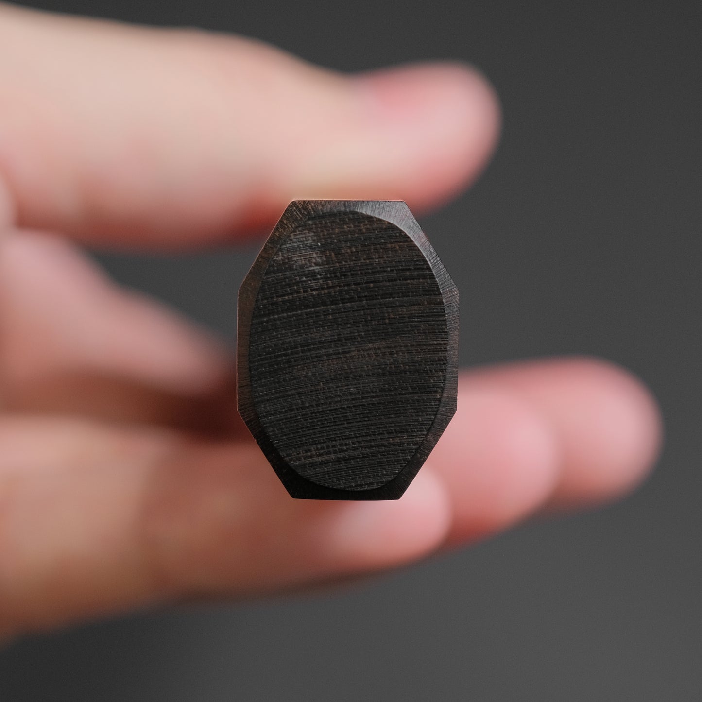 Tetsujin Silver #3 Kasumi Gyuto 210mm Taihei Makassar Ebony Handle