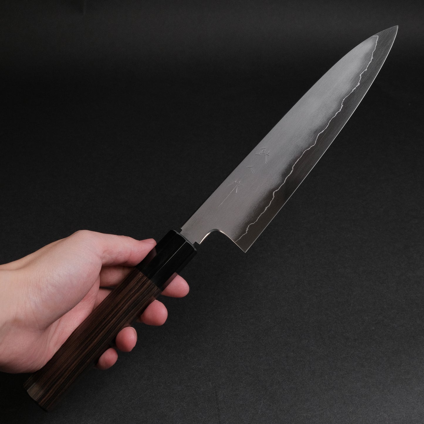 Tetsujin Silver #3 Kasumi Gyuto 210mm Taihei Makassar Ebony Handle