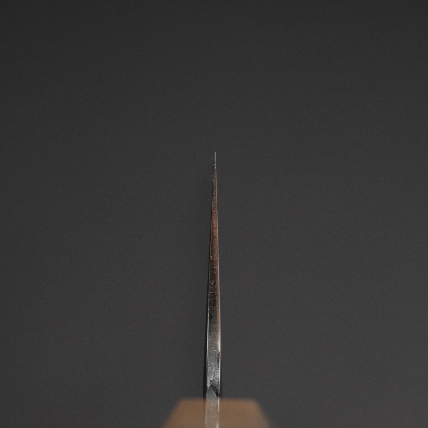 Tetsujin Silver #3 Kasumi Gyuto 210mm Taihei Tagayasan Handle