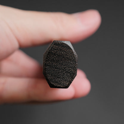 Tetsujin Silver #3 Kasumi Gyuto 210mm Taihei Tagayasan Handle