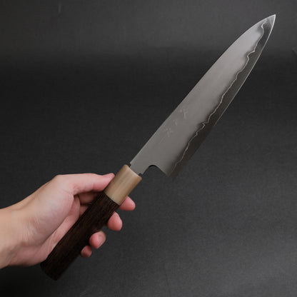 Tetsujin Silver #3 Kasumi Gyuto 210mm Taihei Tagayasan Handle