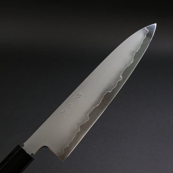 Tetsujin Silver #3 Kasumi Gyuto 210mm Taihei Tagayasan Handle