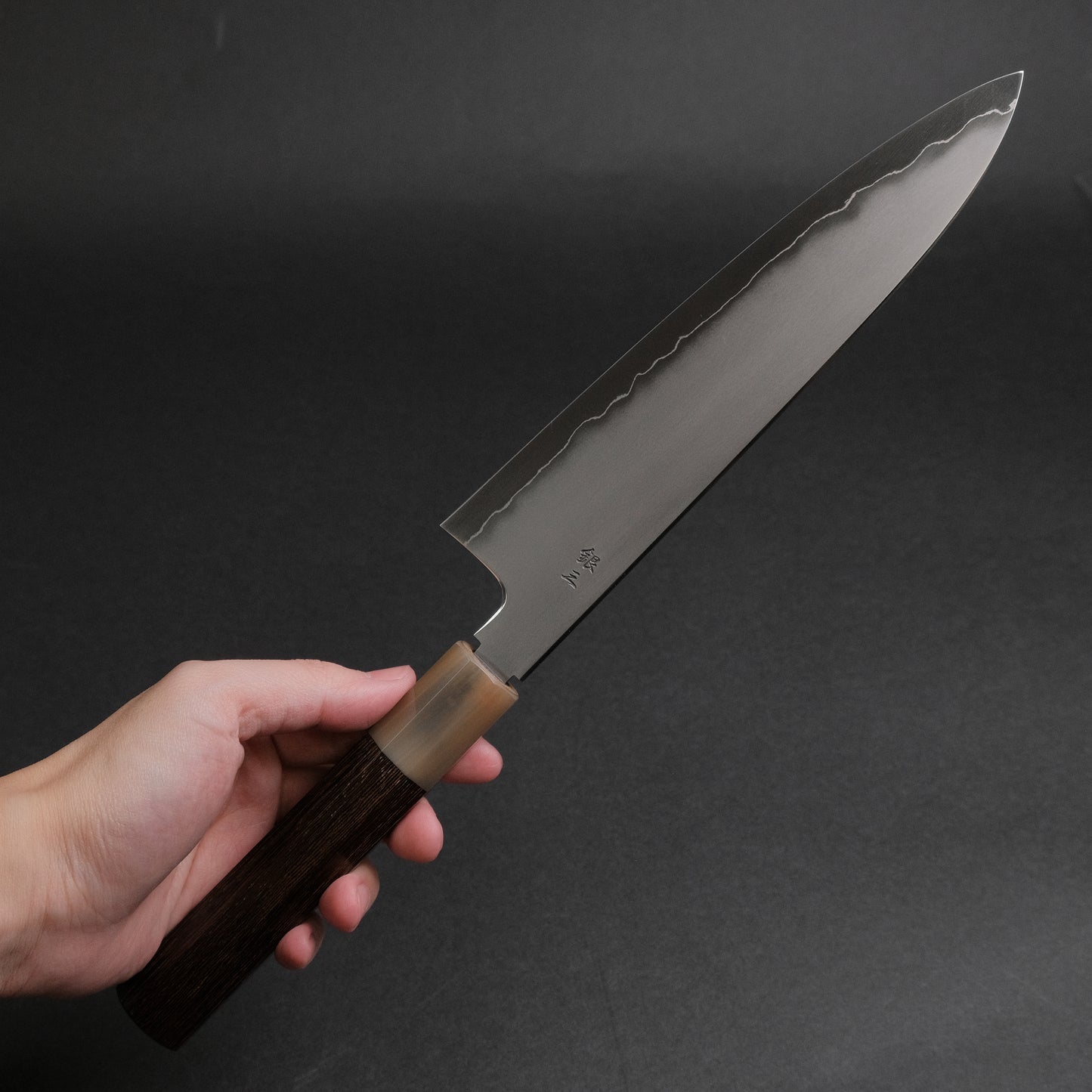 Tetsujin Silver #3 Kasumi Gyuto 210mm Taihei Tagayasan Handle