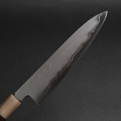 Tetsujin Silver #3 Kasumi Gyuto 210mm Taihei Tagayasan Handle