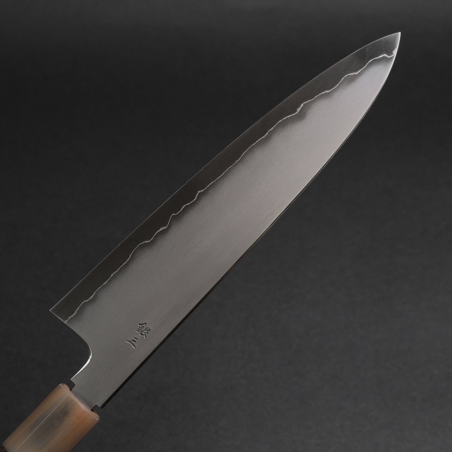 Tetsujin Silver #3 Kasumi Gyuto 210mm Taihei Tagayasan Handle