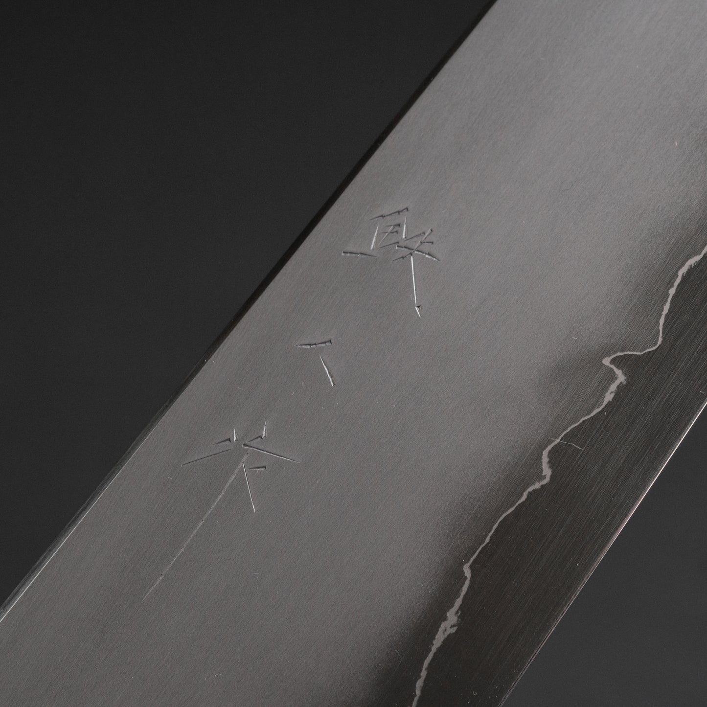 Tetsujin Silver #3 Kasumi Gyuto 210mm Taihei Tagayasan Handle