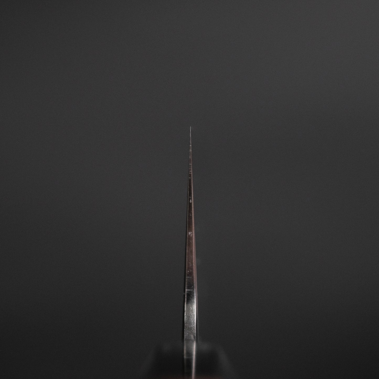 Tetsujin Silver #3 Kasumi Gyuto 240mm Taihei Makassar Ebony Handle