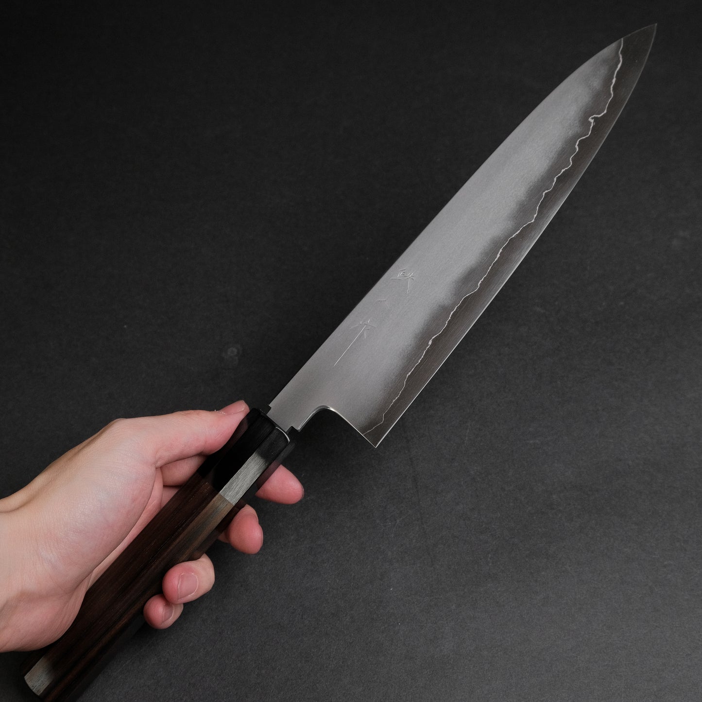 Tetsujin Silver #3 Kasumi Gyuto 240mm Taihei Makassar Ebony Handle