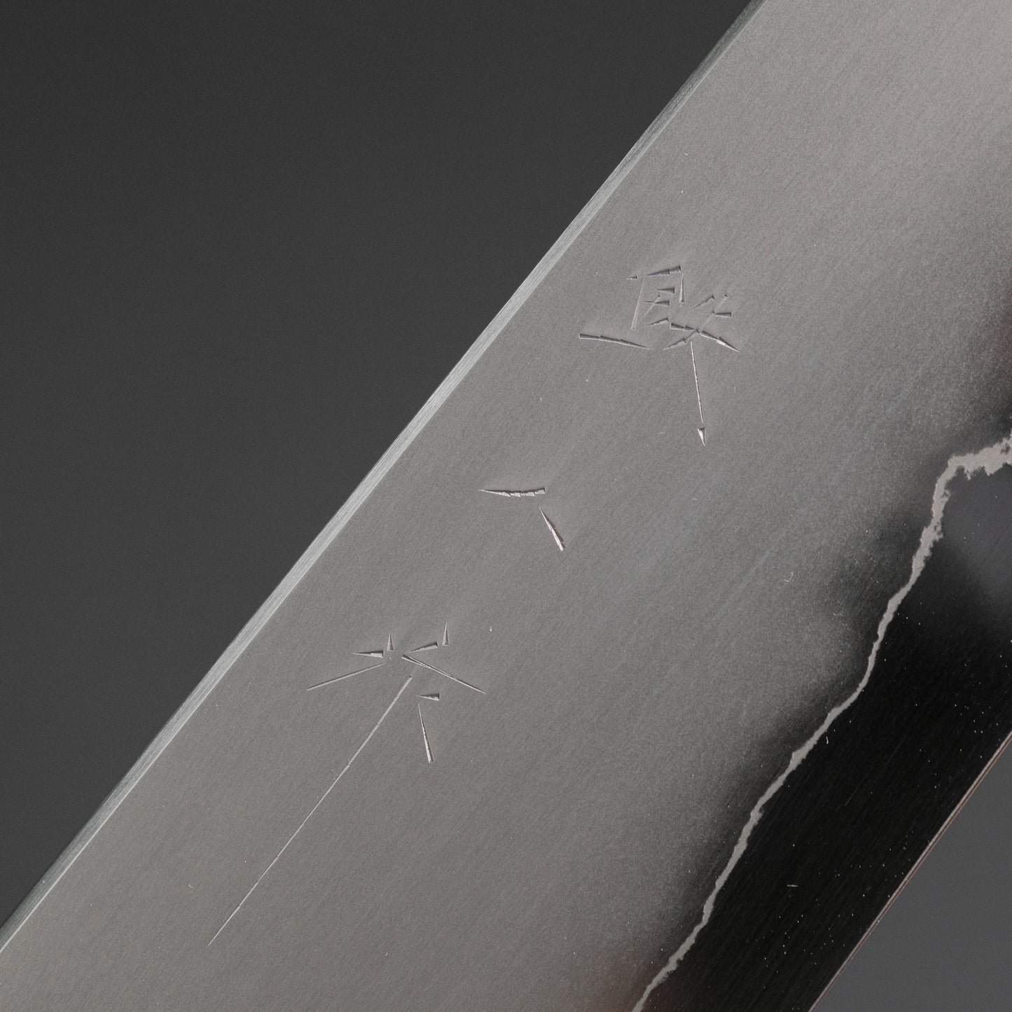 Tetsujin Silver #3 Kasumi Kiritsuke Gyuto 210mm Lacewood Handle