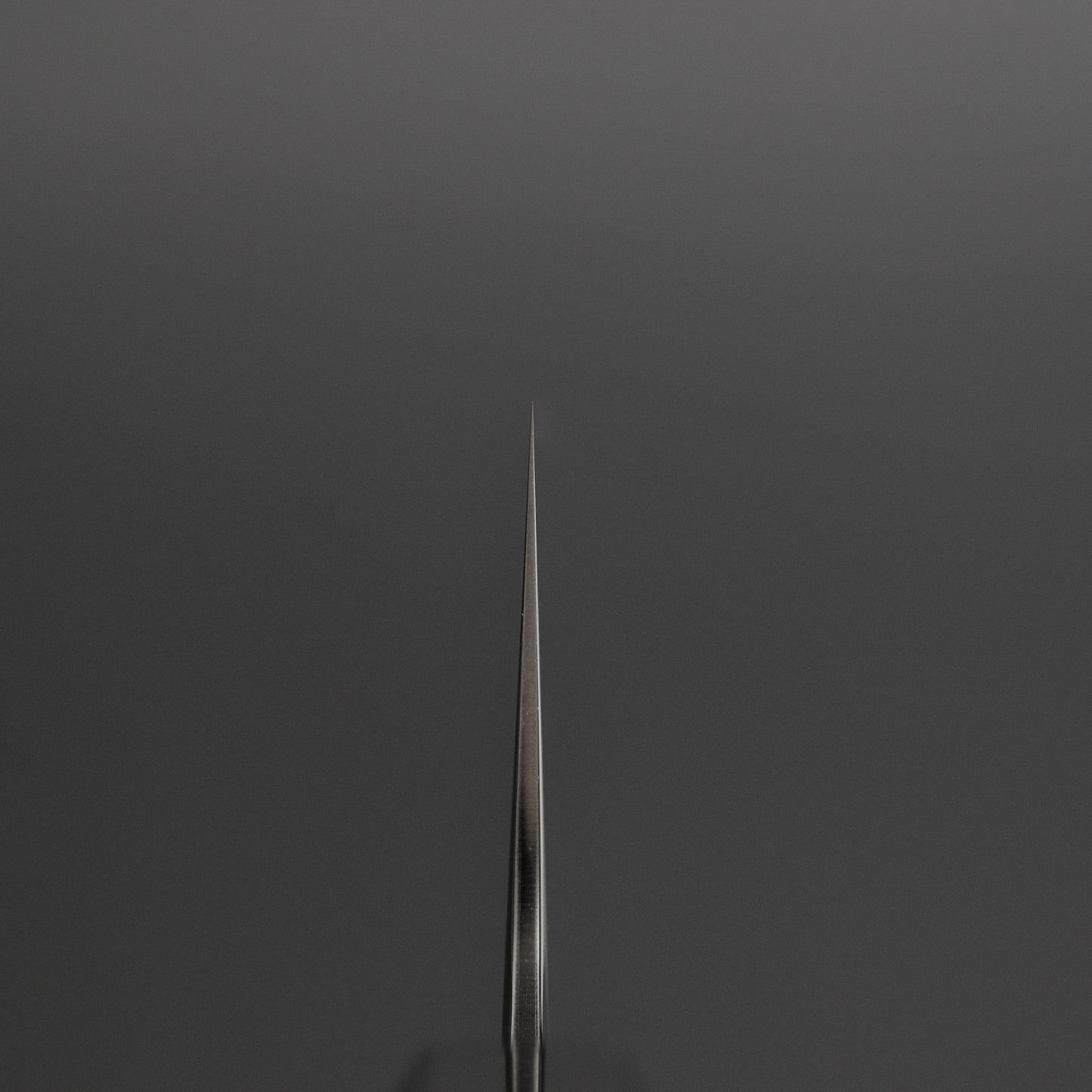 Tetsujin Silver #3 Kasumi Pasta Kiri 270mm Ho Wood Handle