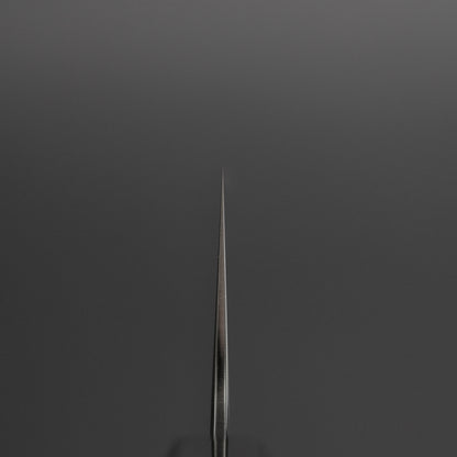 Tetsujin Silver #3 Kasumi Pasta Kiri 270mm Ho Wood Handle