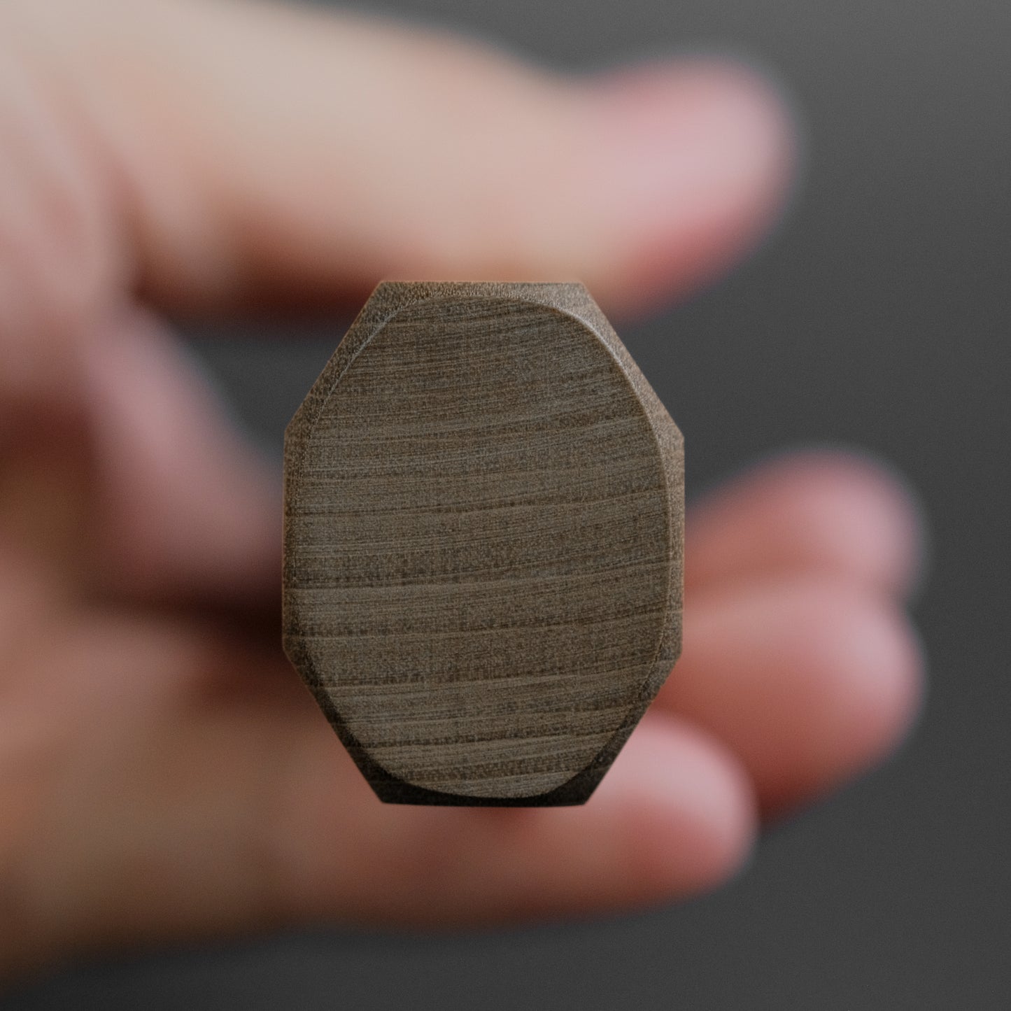 Tetsujin Silver #3 Kasumi Pasta Kiri 270mm Ho Wood Handle