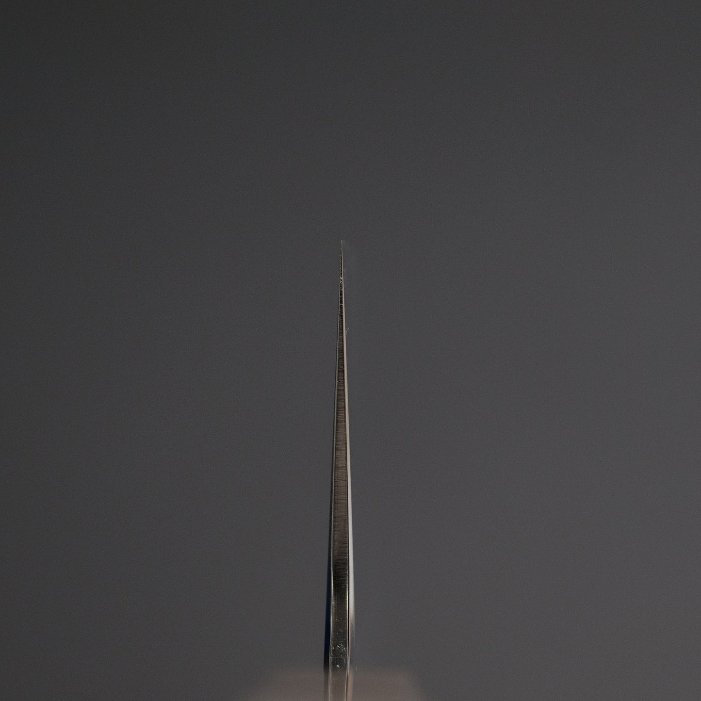 Tetsujin Silver #3 Kasumi Pasta Kiri 270mm Ho Wood Handle