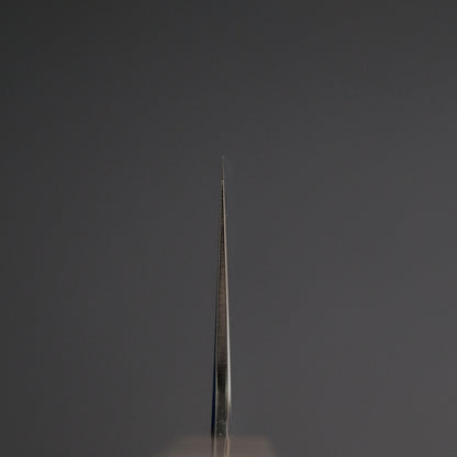 Tetsujin Silver #3 Kasumi Pasta Kiri 270mm Ho Wood Handle