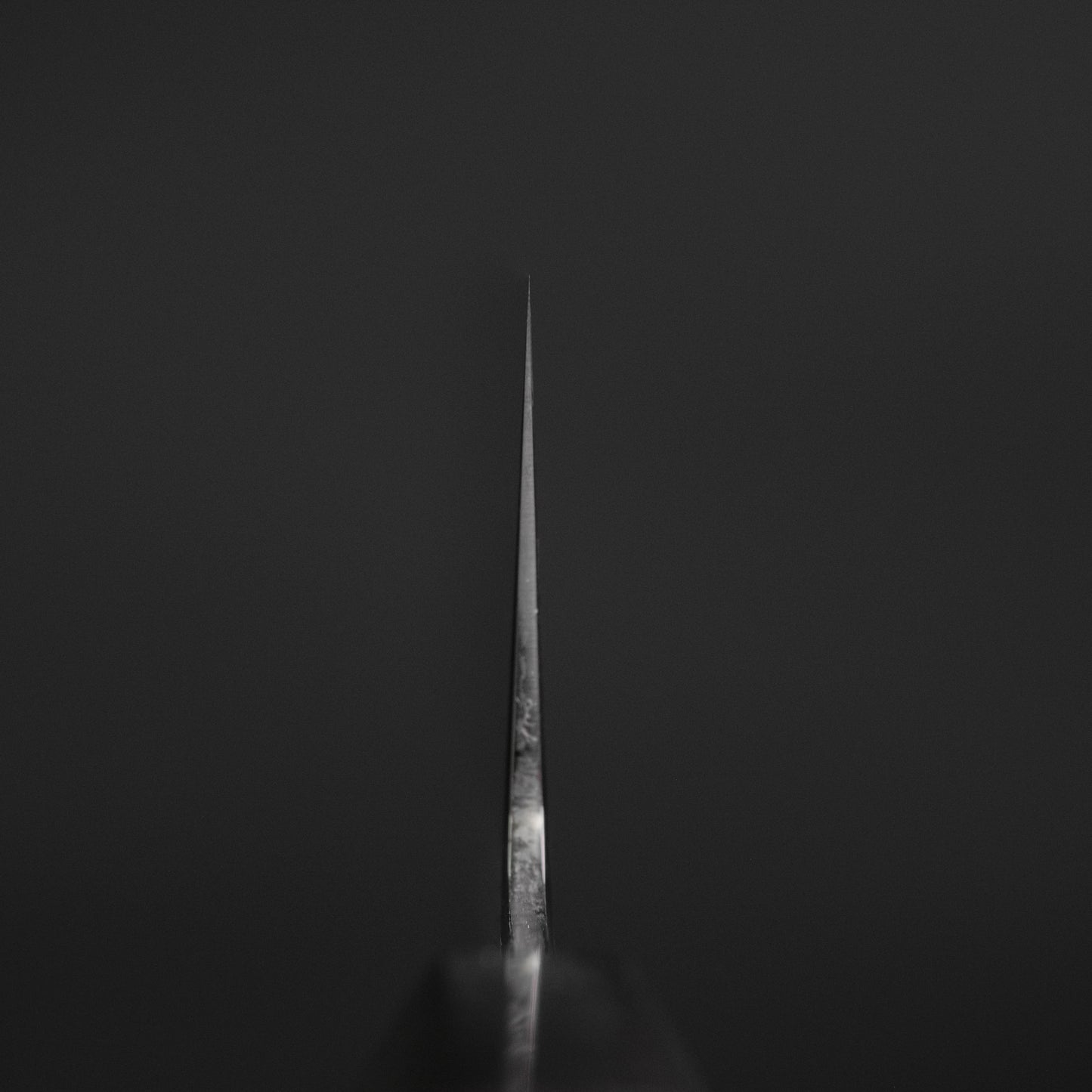 Tetsujin Silver #3 Ukiba Kiritsuke Gyuto 210mm Taihei Makassar Ebony Handle