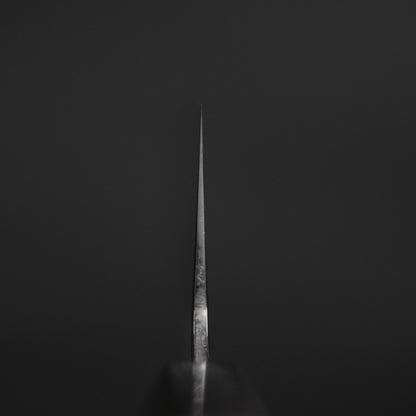 Tetsujin Silver #3 Ukiba Kiritsuke Gyuto 210mm Taihei Makassar Ebony Handle