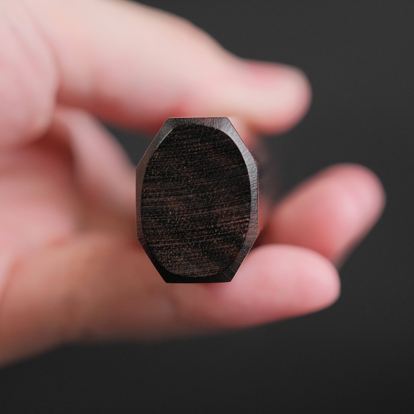 Tetsujin Silver #3 Ukiba Kiritsuke Gyuto 210mm Taihei Makassar Ebony Handle