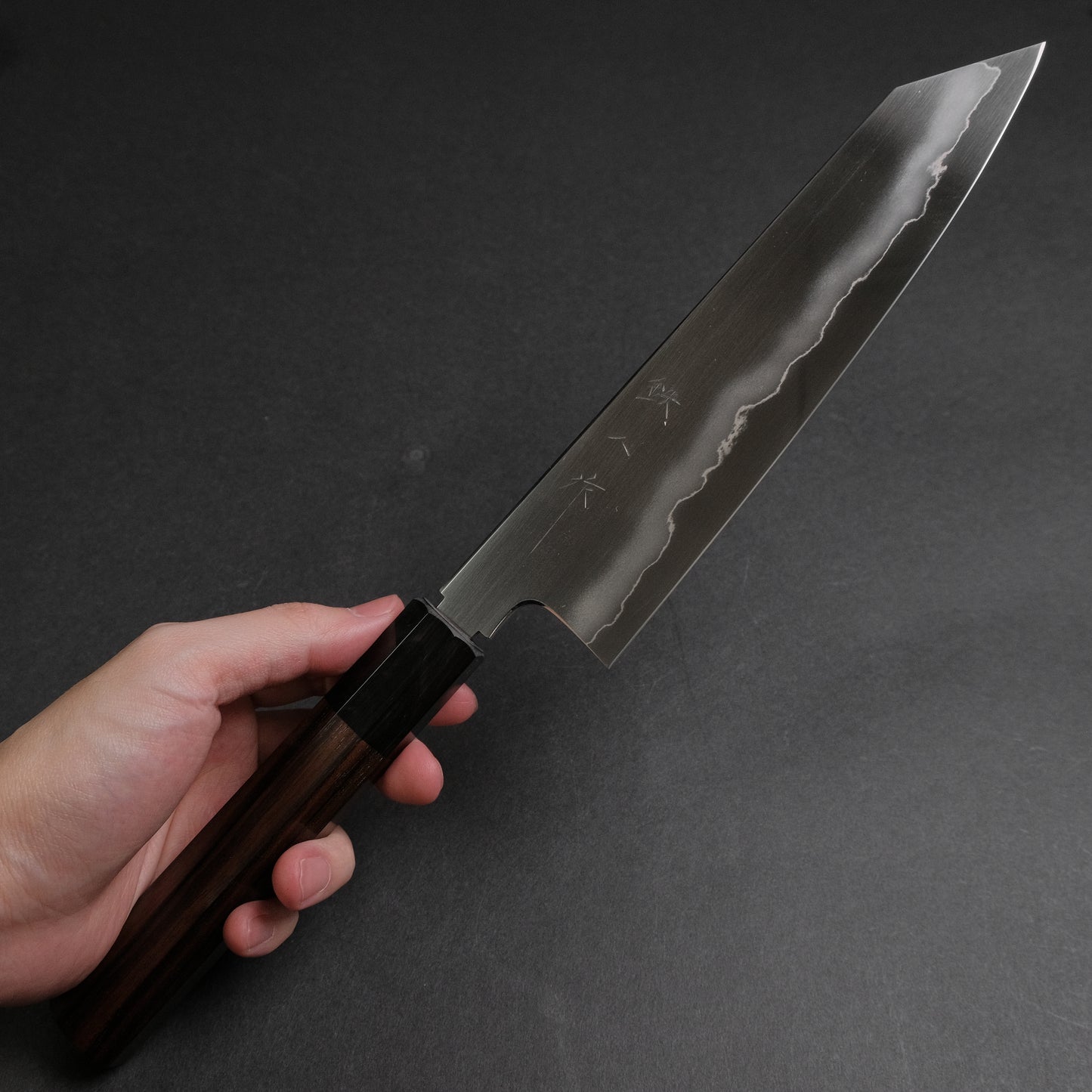 Tetsujin Silver #3 Ukiba Kiritsuke Gyuto 210mm Taihei Makassar Ebony Handle