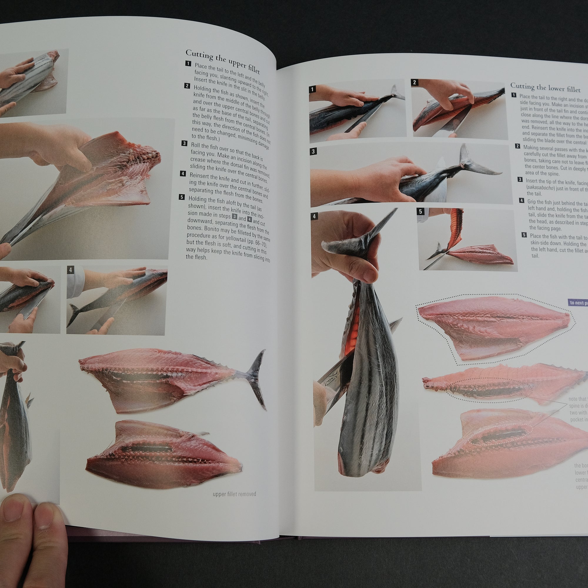 The Japanese Culinary Academy MUKOITA I, Cutting Techniques: Fish (English)