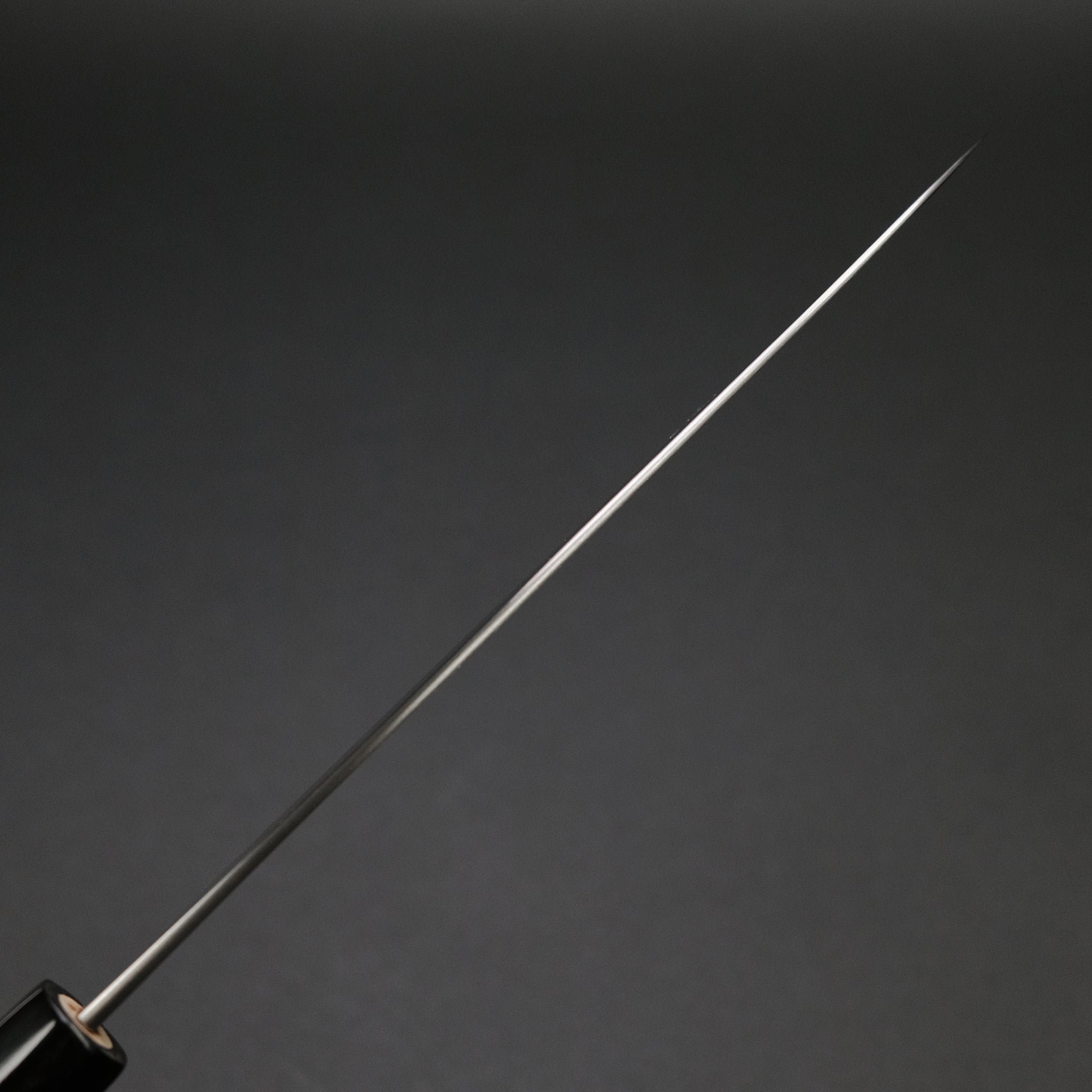 Toshihiro Wakui White 